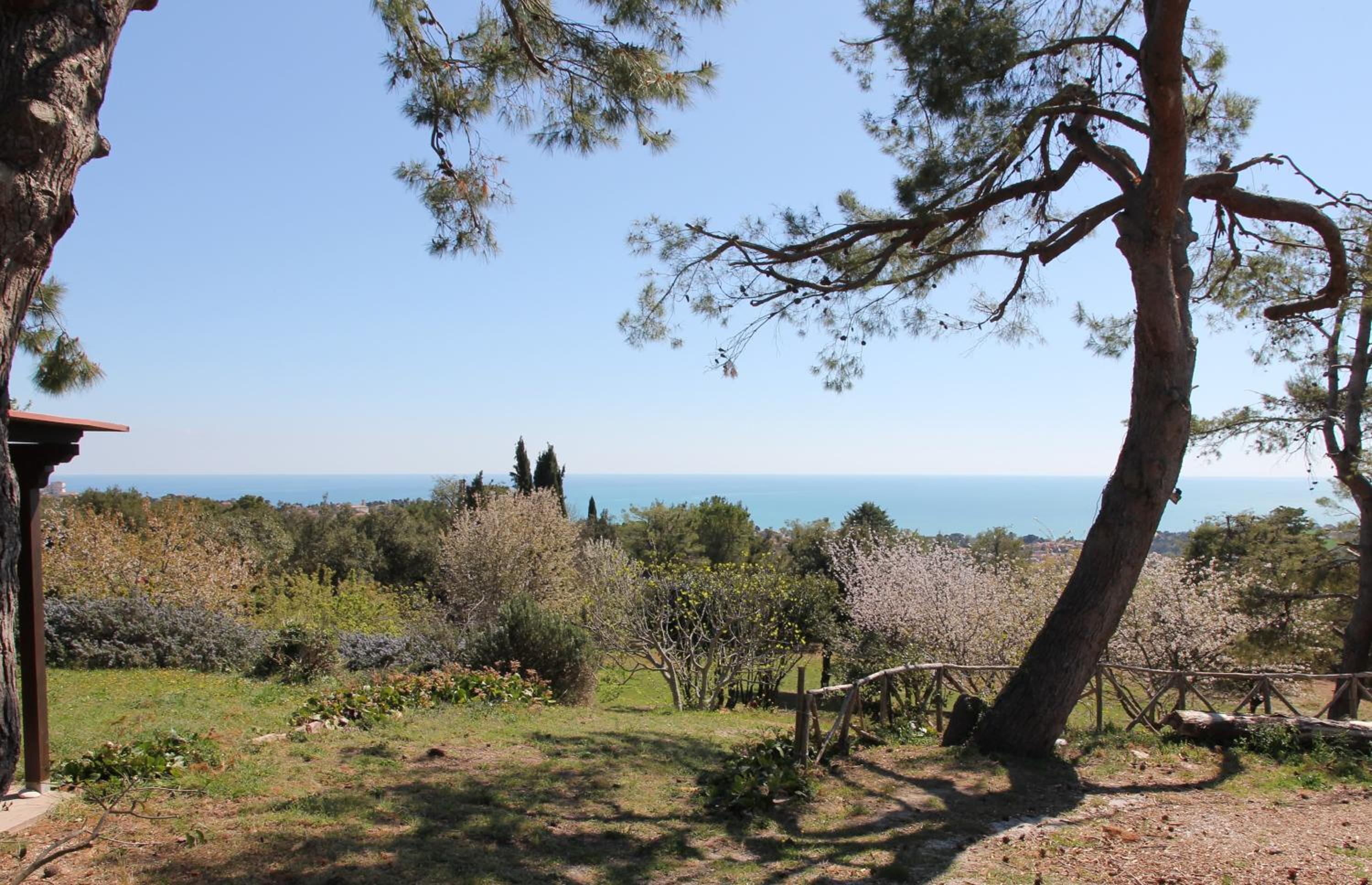 Villa Panorama Sirolo view 5