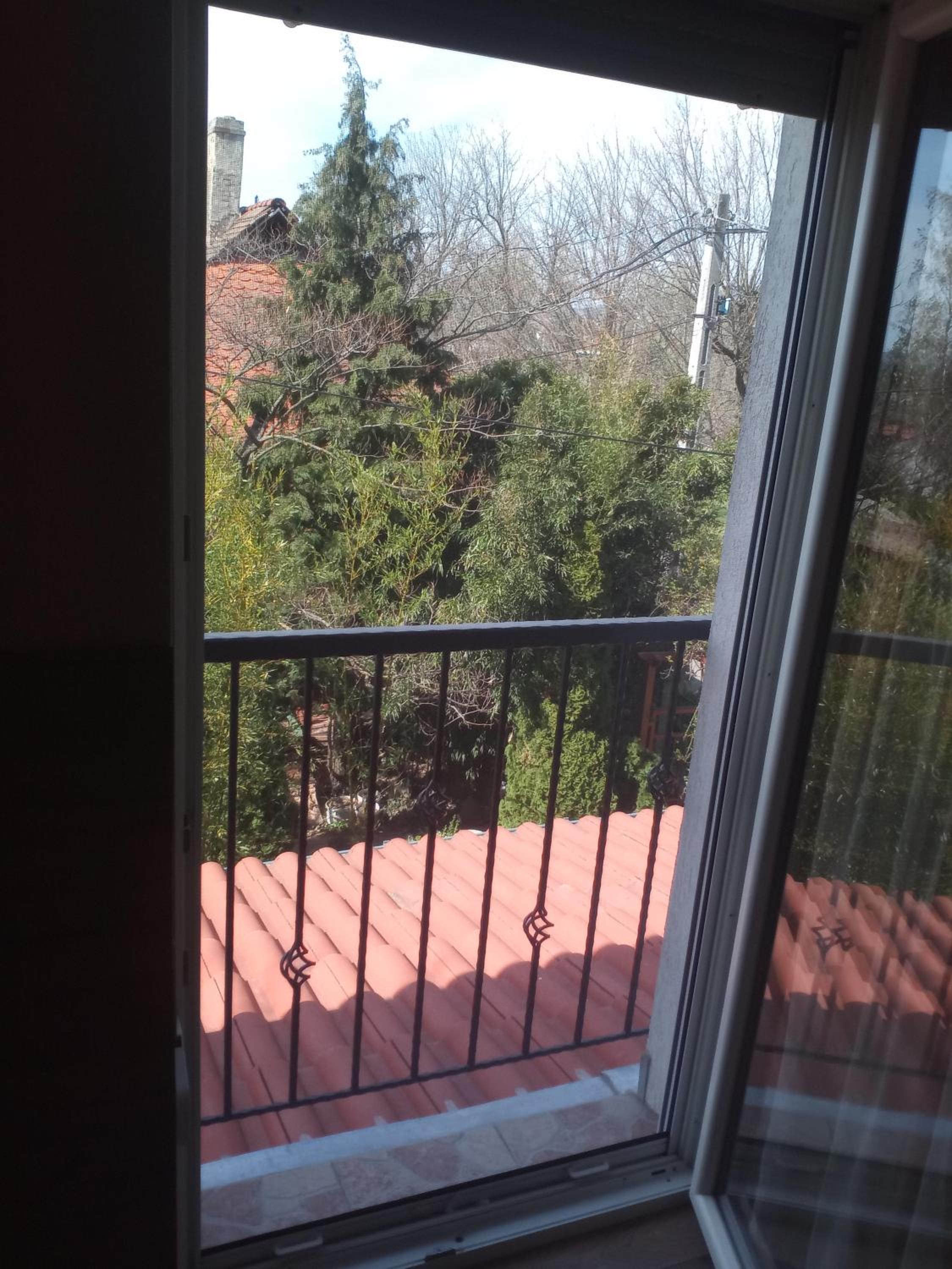 Photo 44