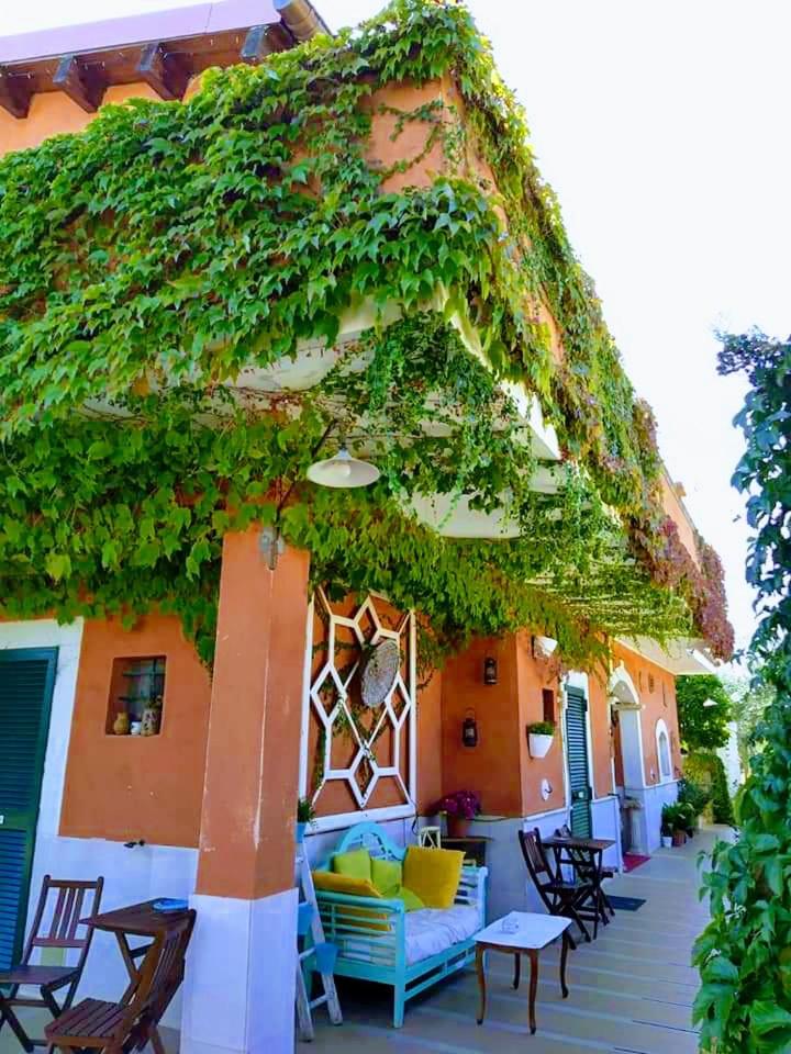 Casale Terra Sole B&B, photo 11
