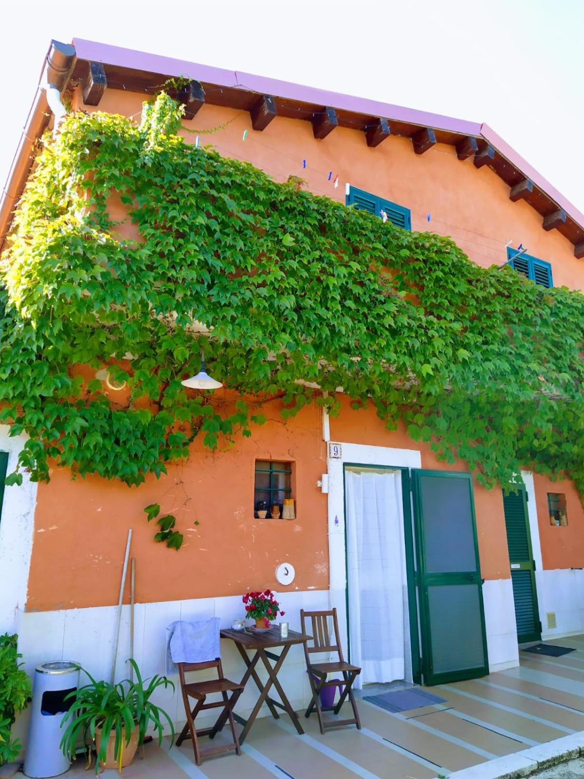 Casale Terra Sole B&B, photo 24
