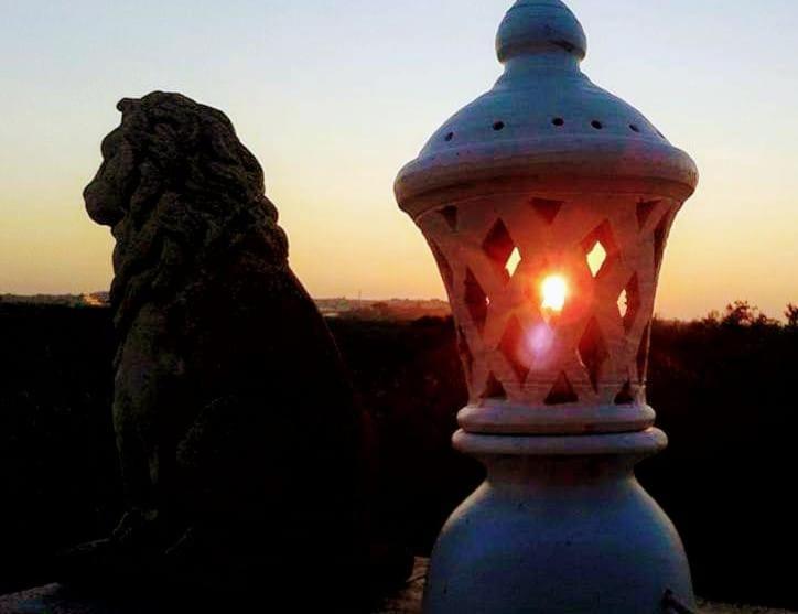 Casale Terra Sole B&B, photo 3