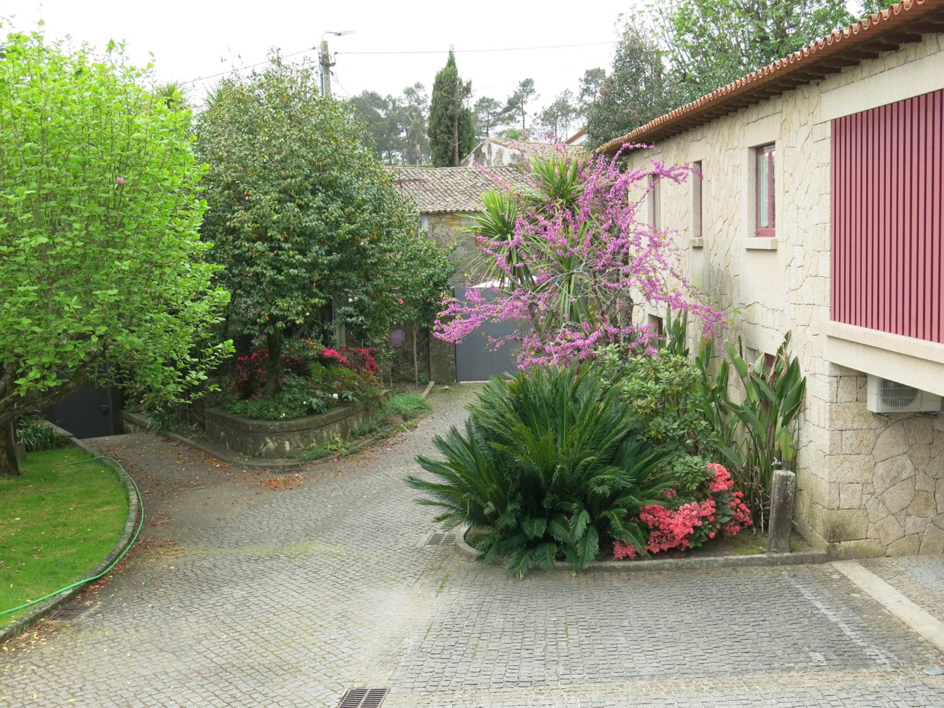 Photo 57