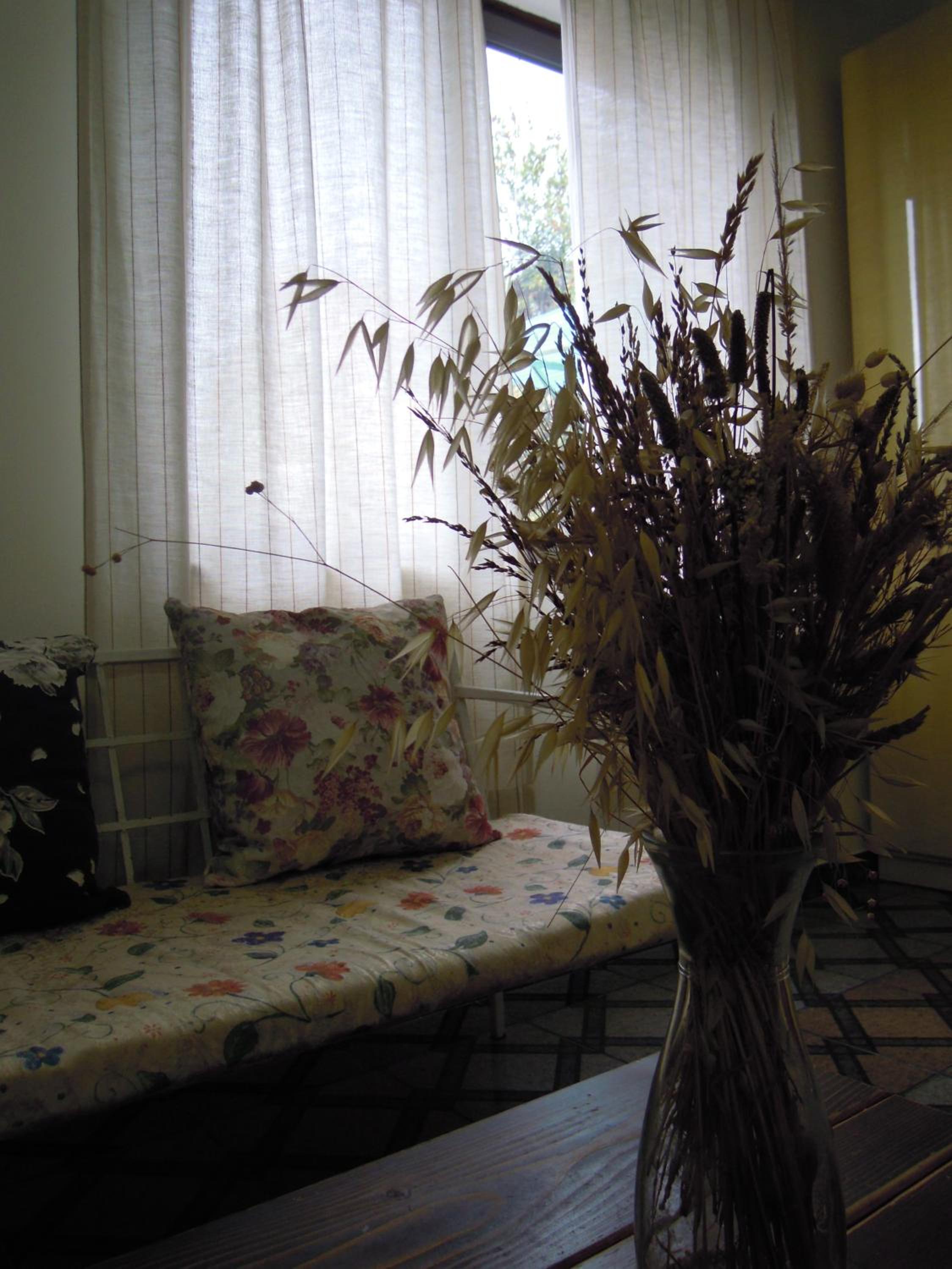 Angie's Shared Villa TAM