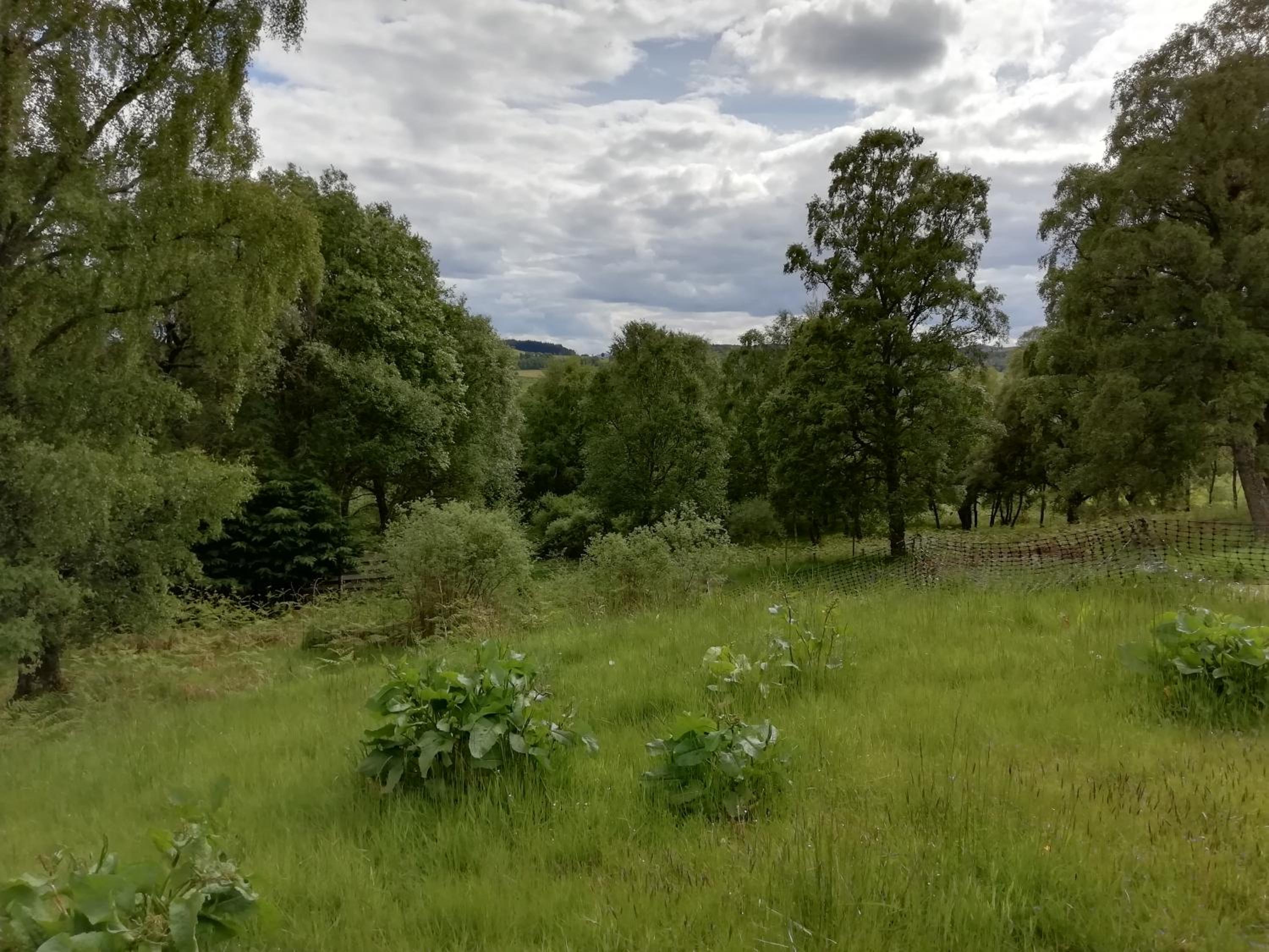 Highland Lodge