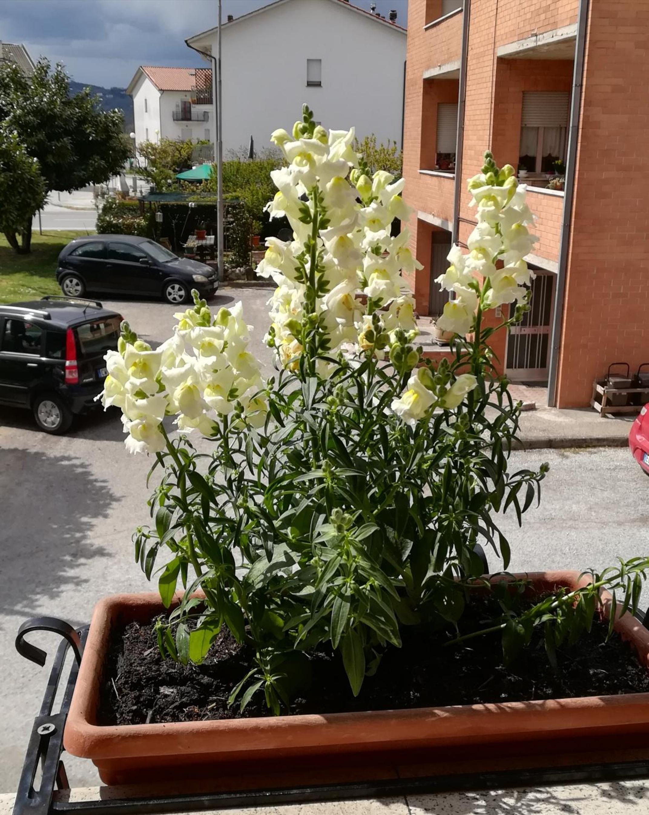 Photo 37