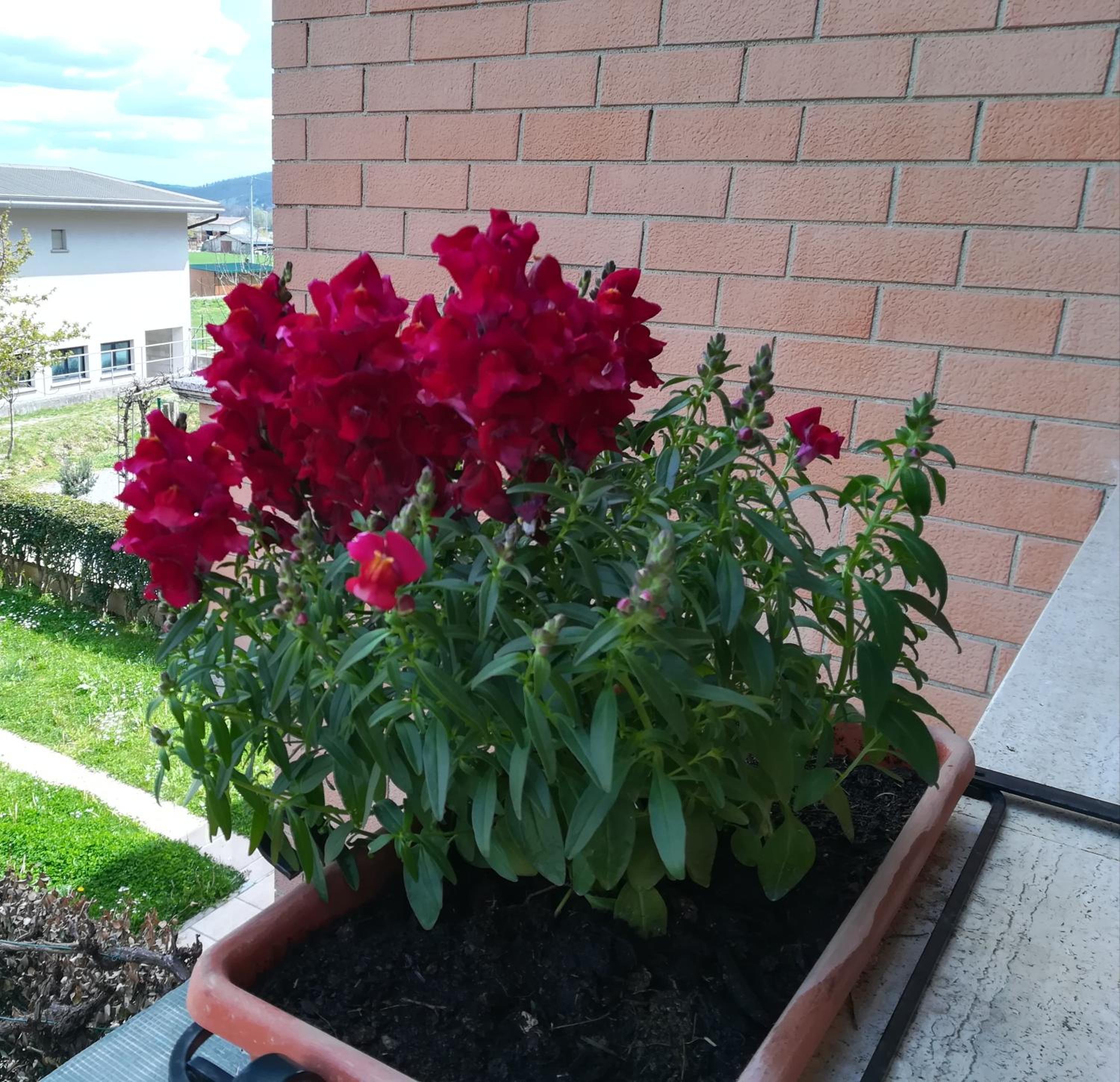 Photo 38