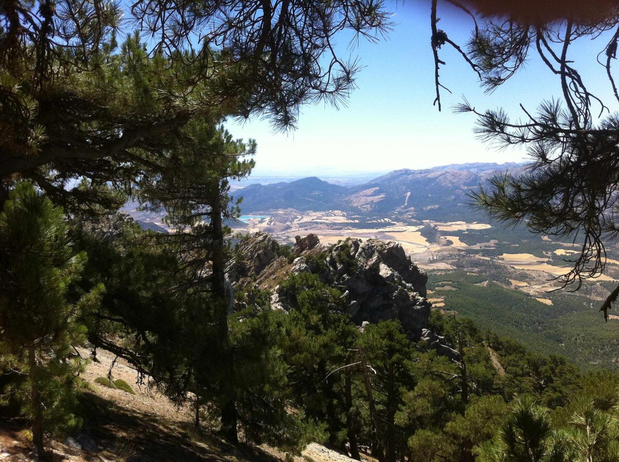 Photo 17