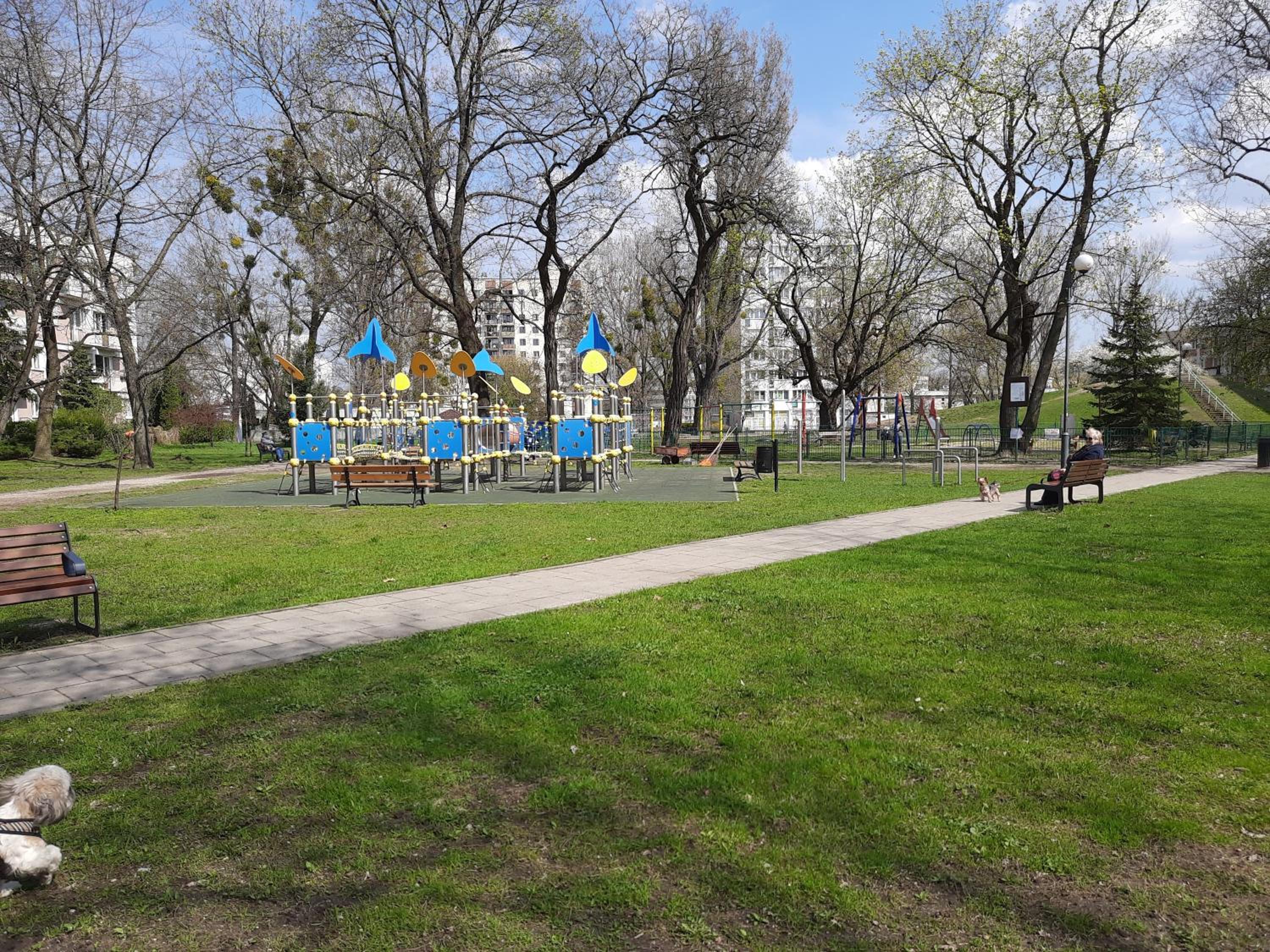 Photo 12