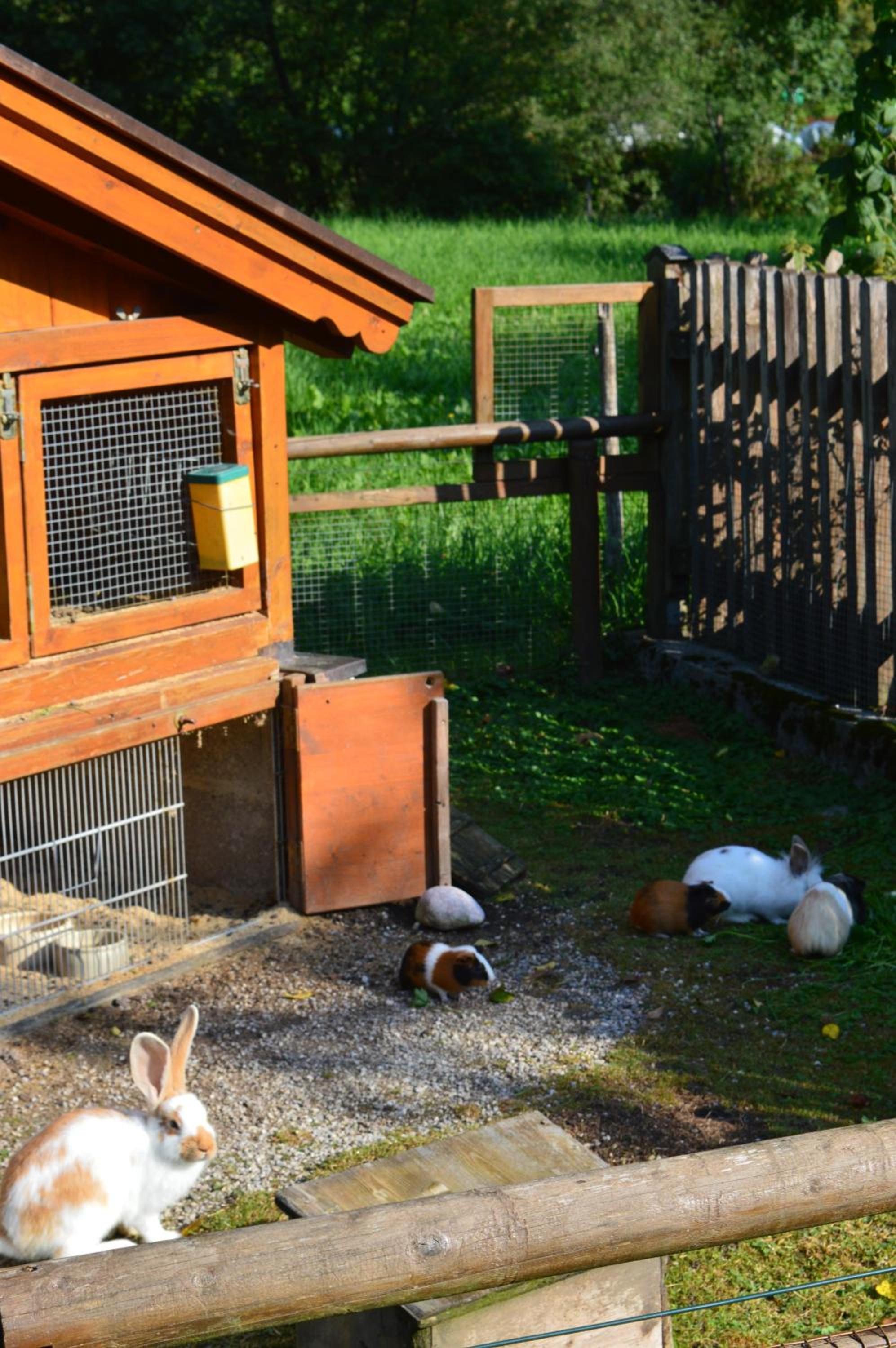 Ferienwohnungen Kilianmühle