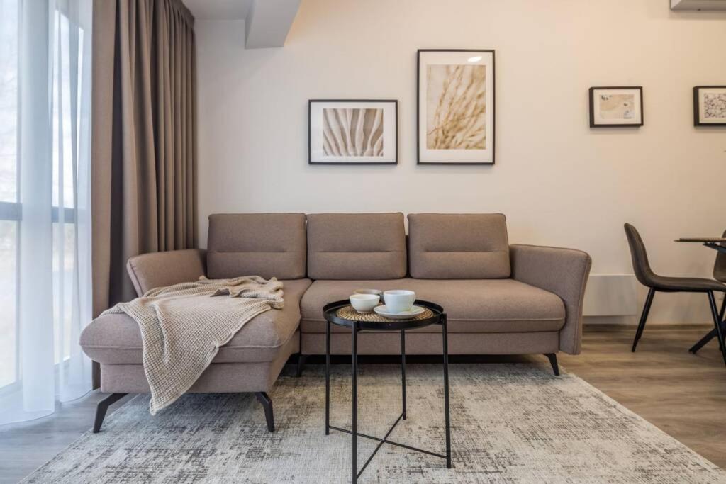 Live by the sea-apartment with river-view terrace at Gyvenu prie juros - Sventoji view 3