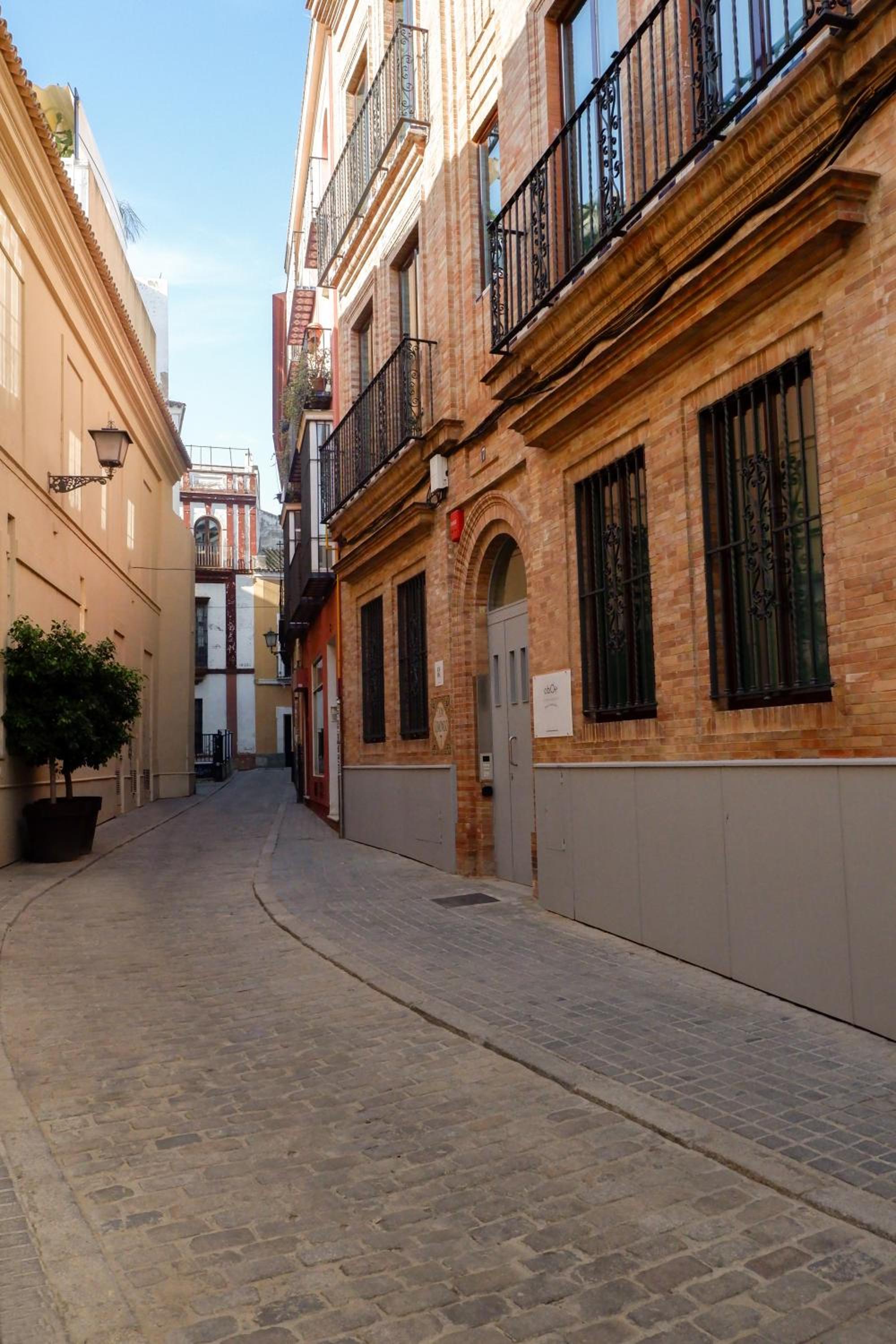 U-Sense Sevilla Catedral view 2
