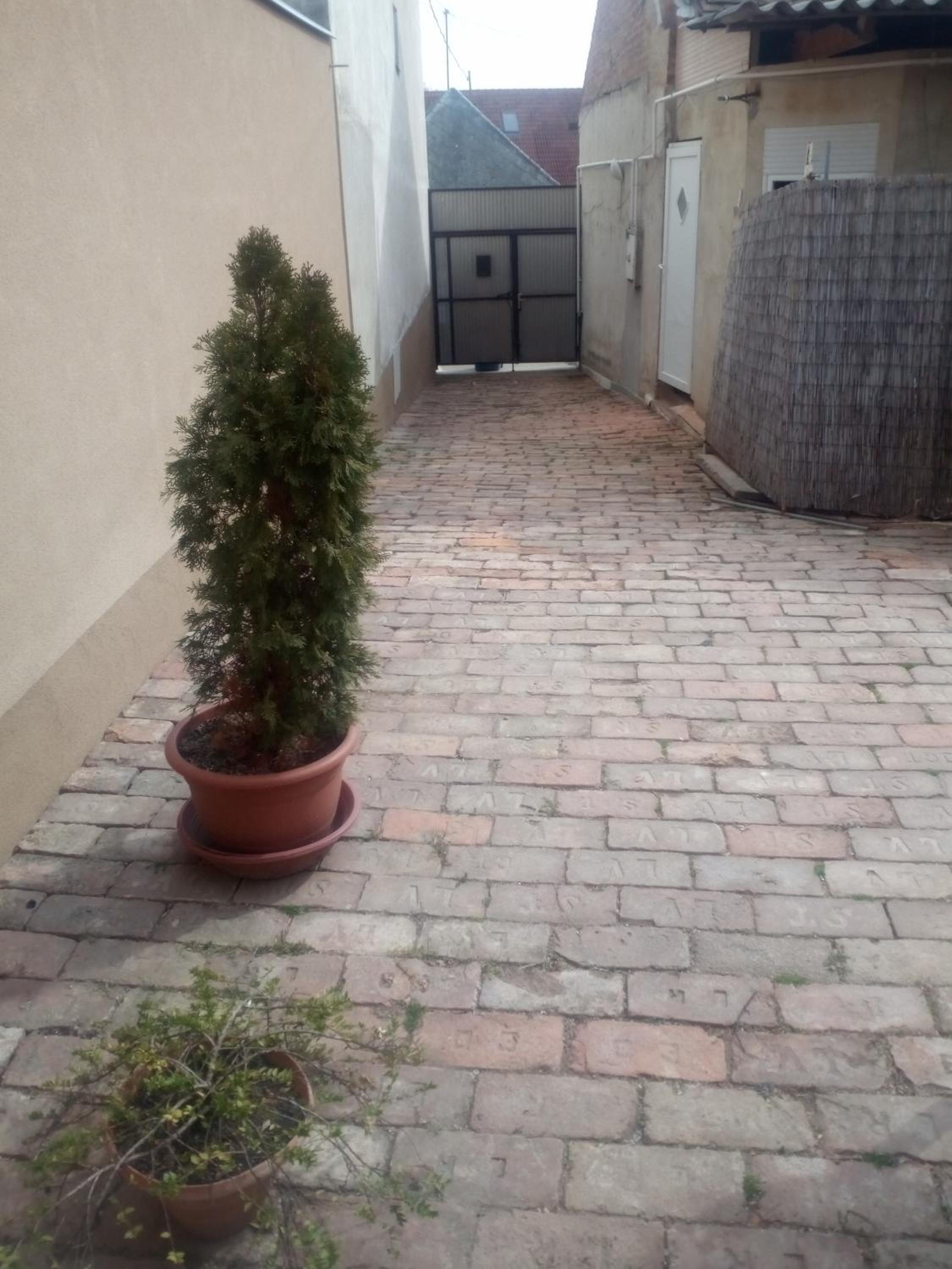 Photo 35