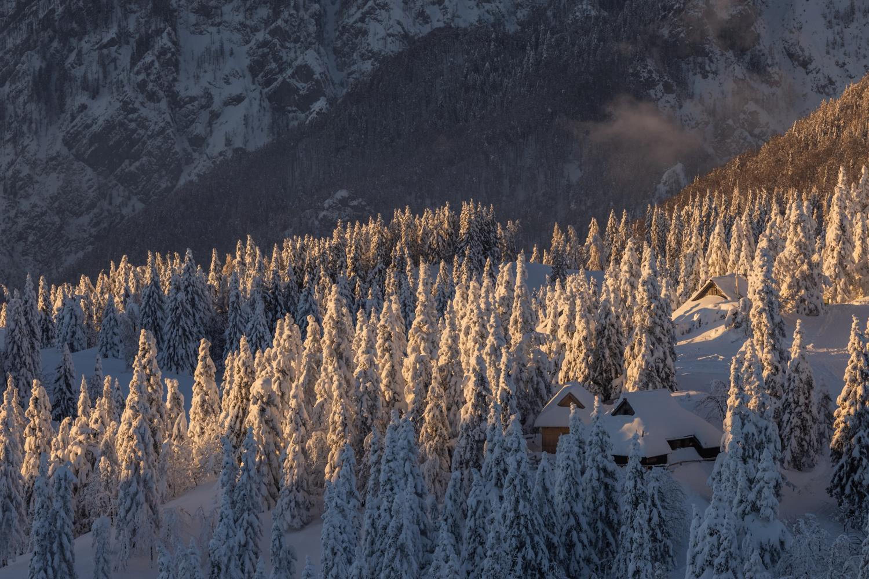 Koča Bistra - Velika planina