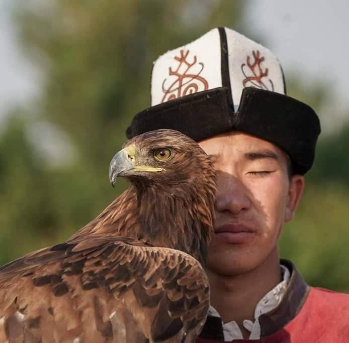 Photo 54