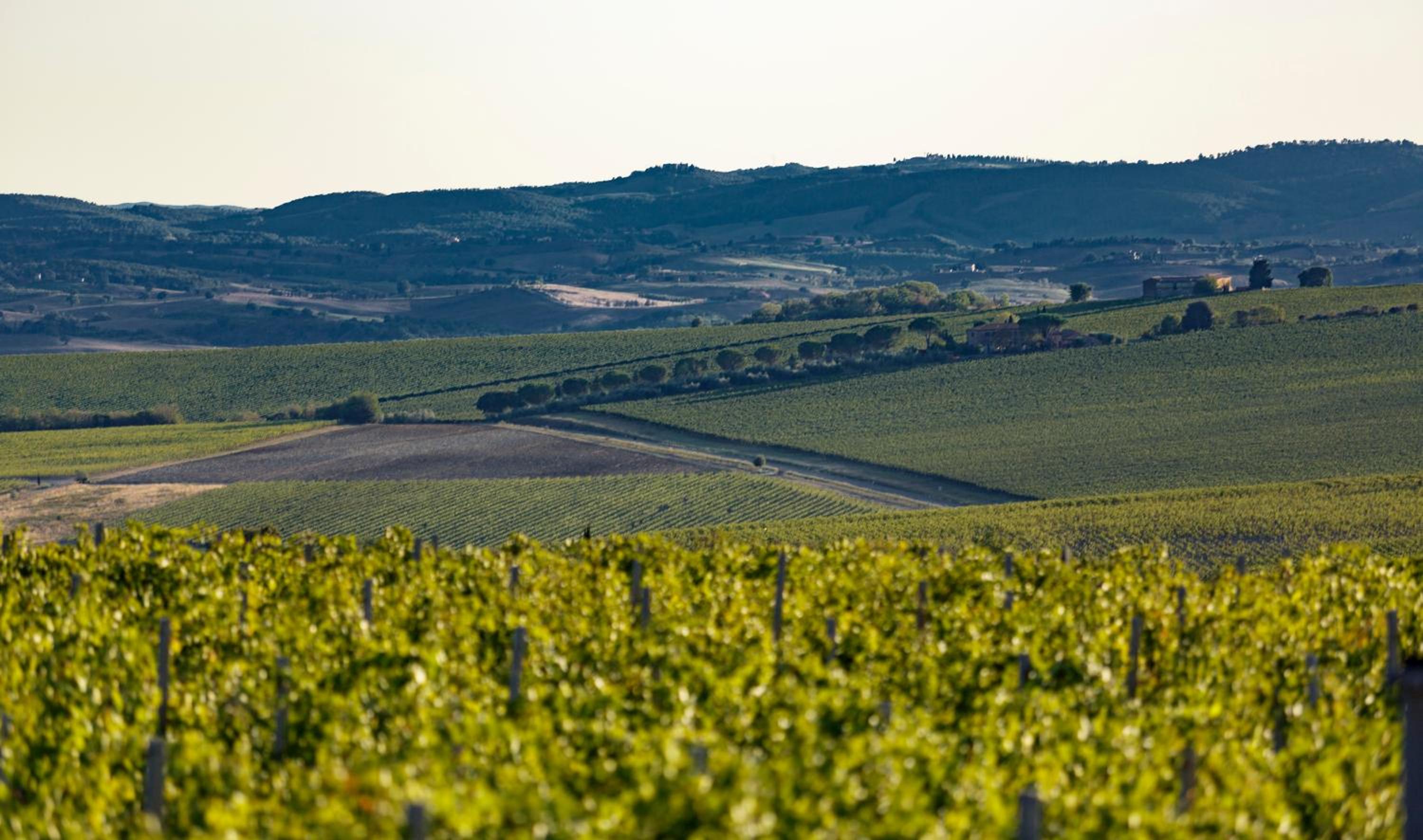 Wine Relais In Montecucco - ColleMassari Hospitality