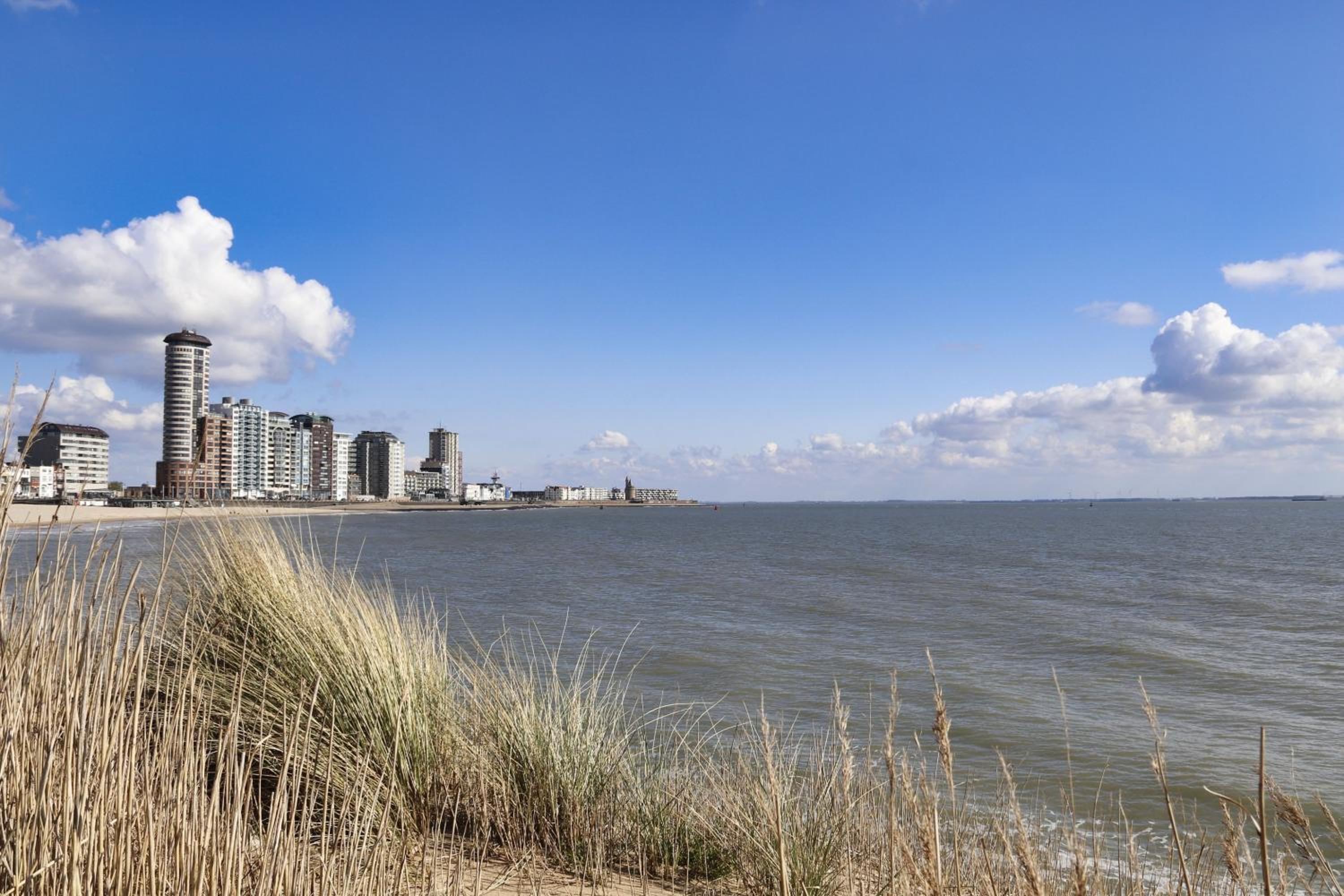 Westerschelde B&B, photo 47