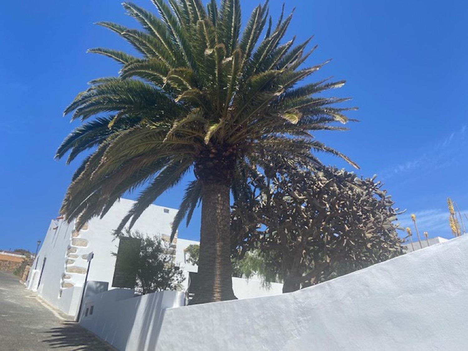 Casa Doña Carmen