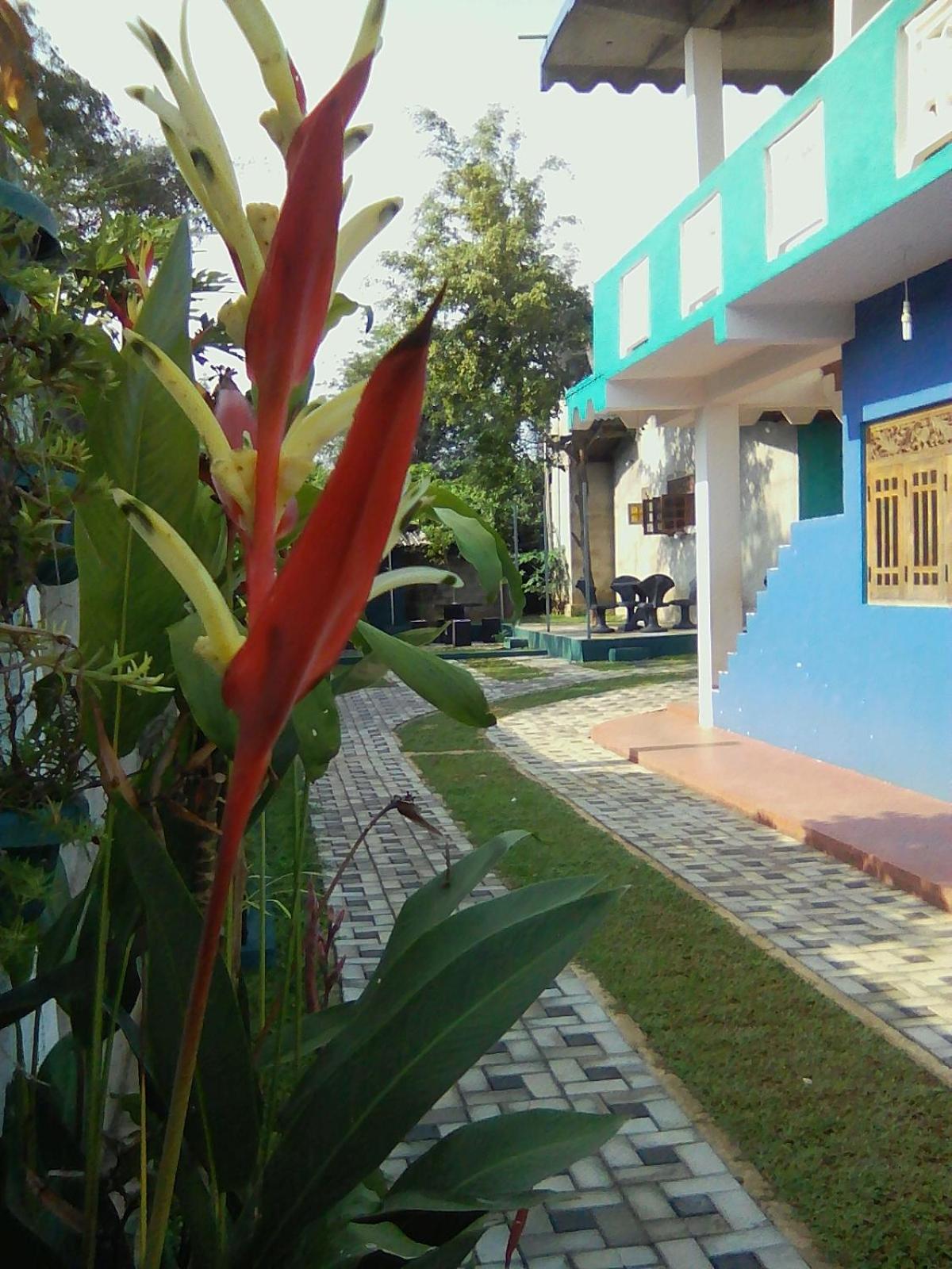 Photo 47