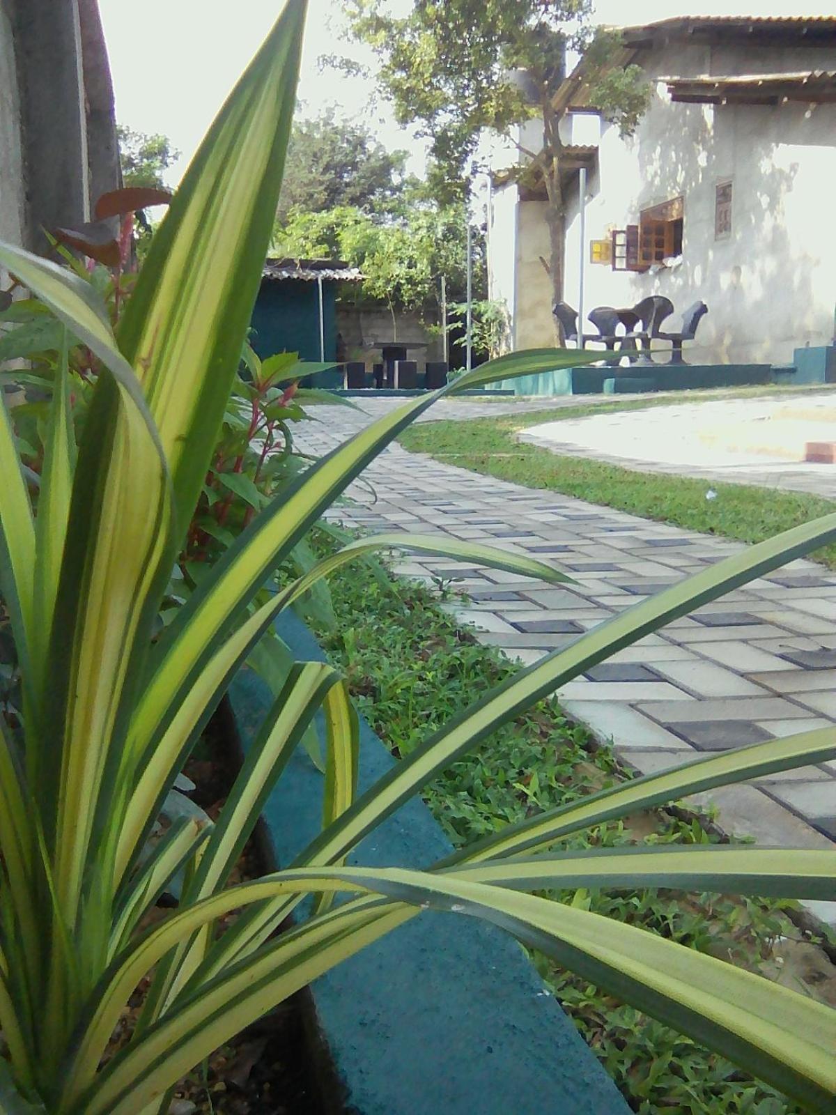 Photo 45