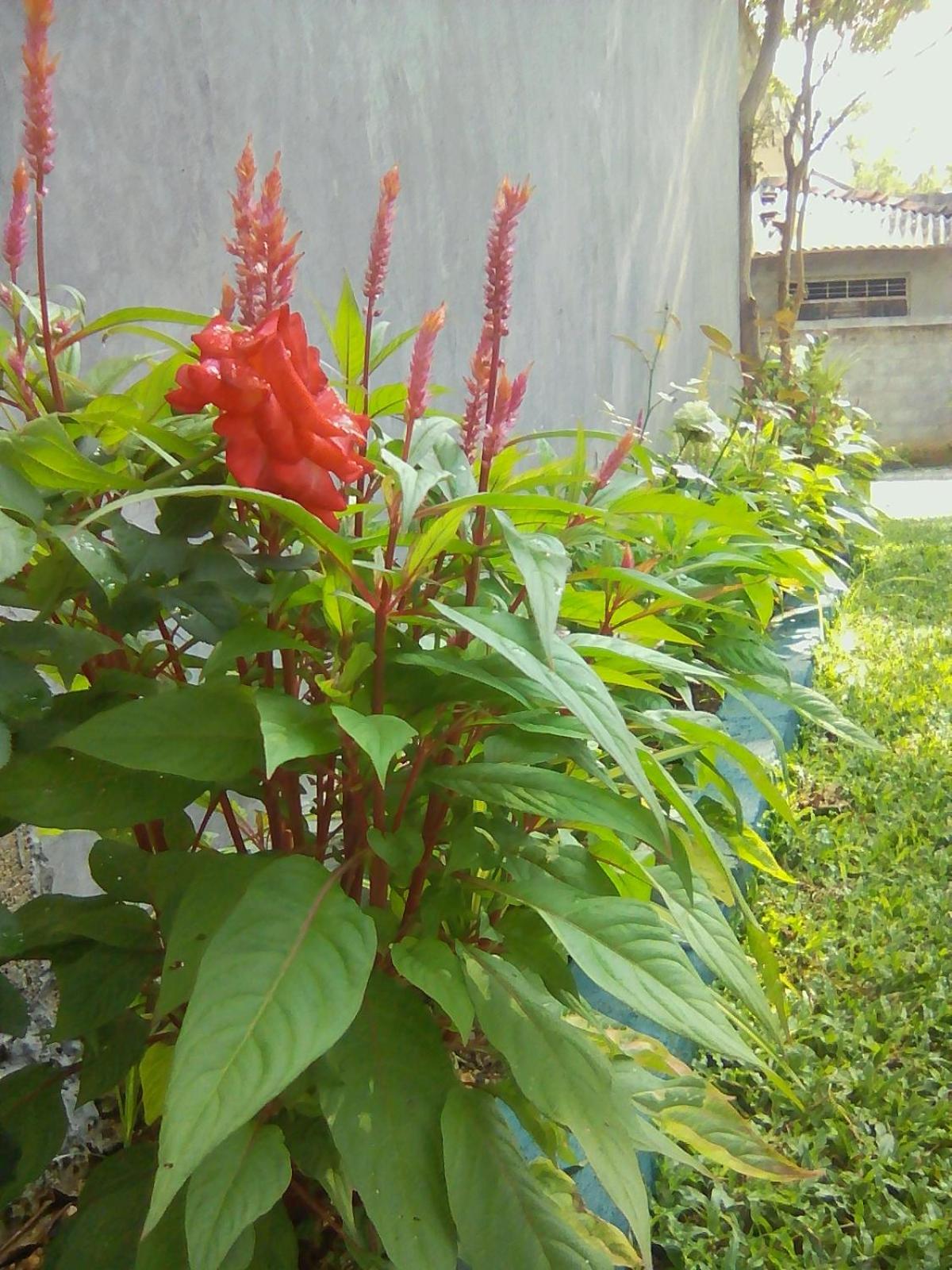 Photo 44