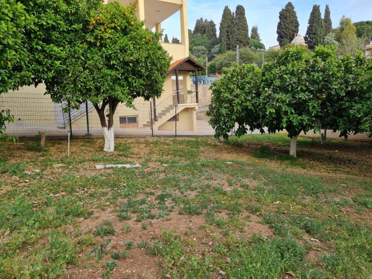 Photo 12