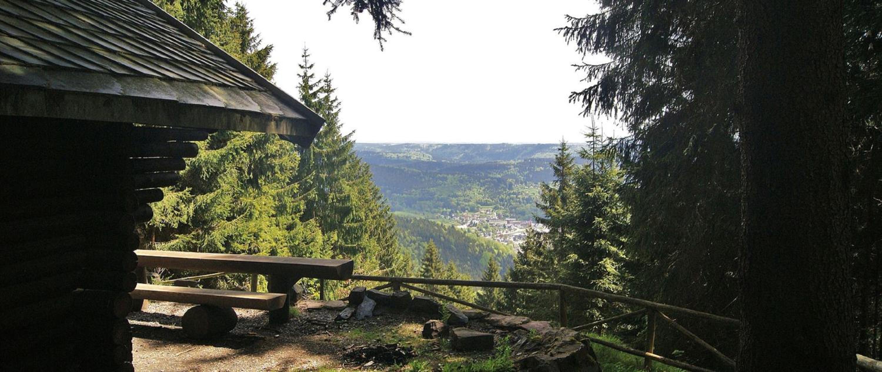 Ferienwohnung Klaus im Tal der Steinach