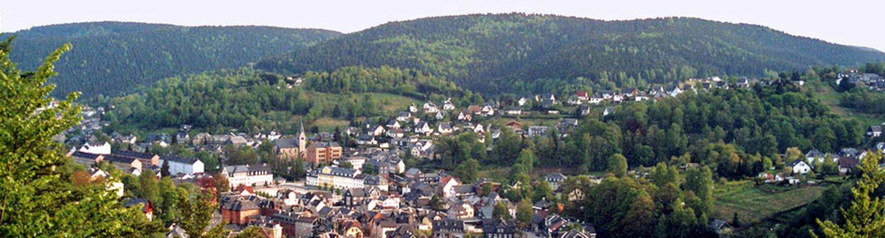 Ferienwohnung Klaus im Tal der Steinach