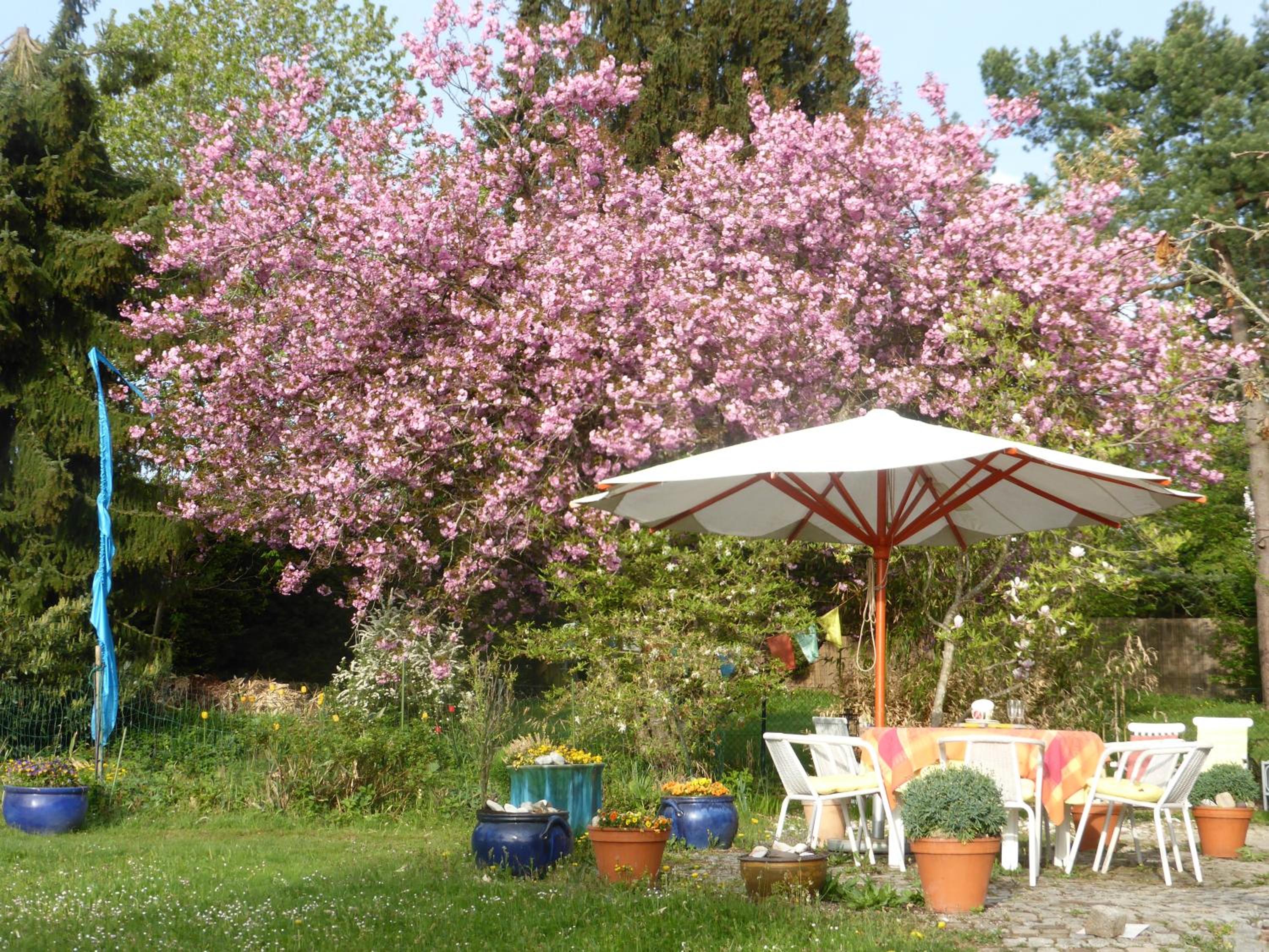 Bed and Breakfast Bavaria München