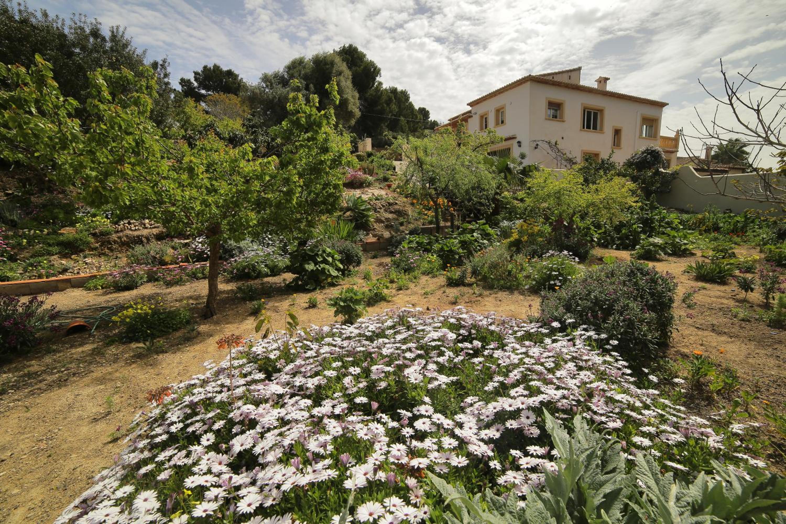 Photo 41