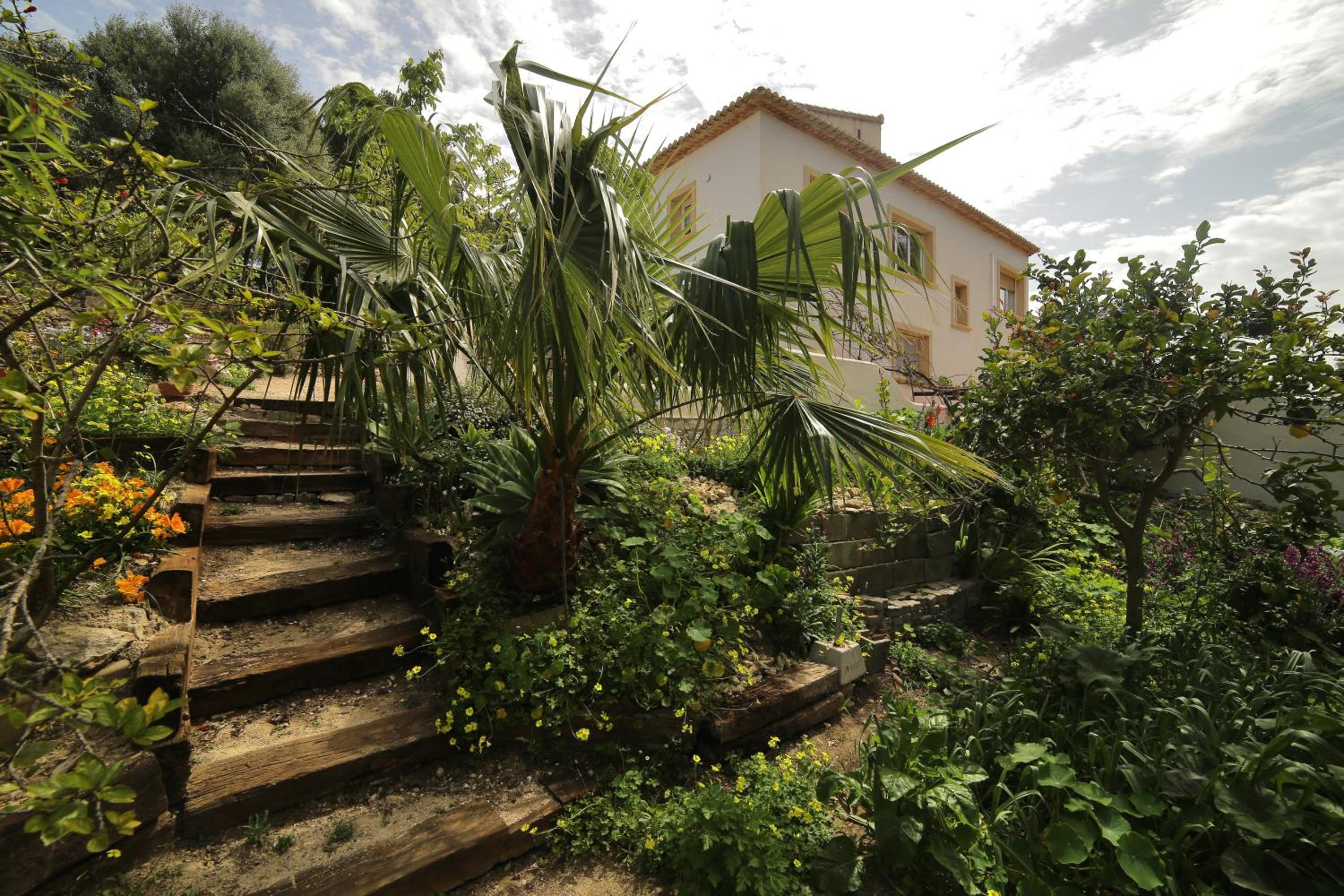 Photo 42