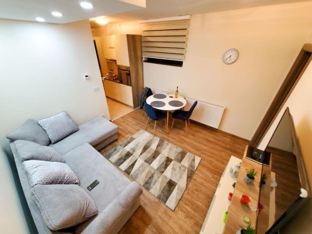 Vila Srna apartman Vekic Zlatibor view 4