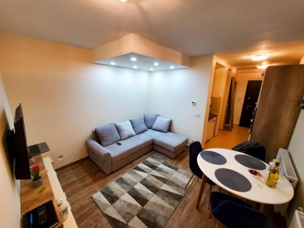 Vila Srna apartman Vekic Zlatibor view 2