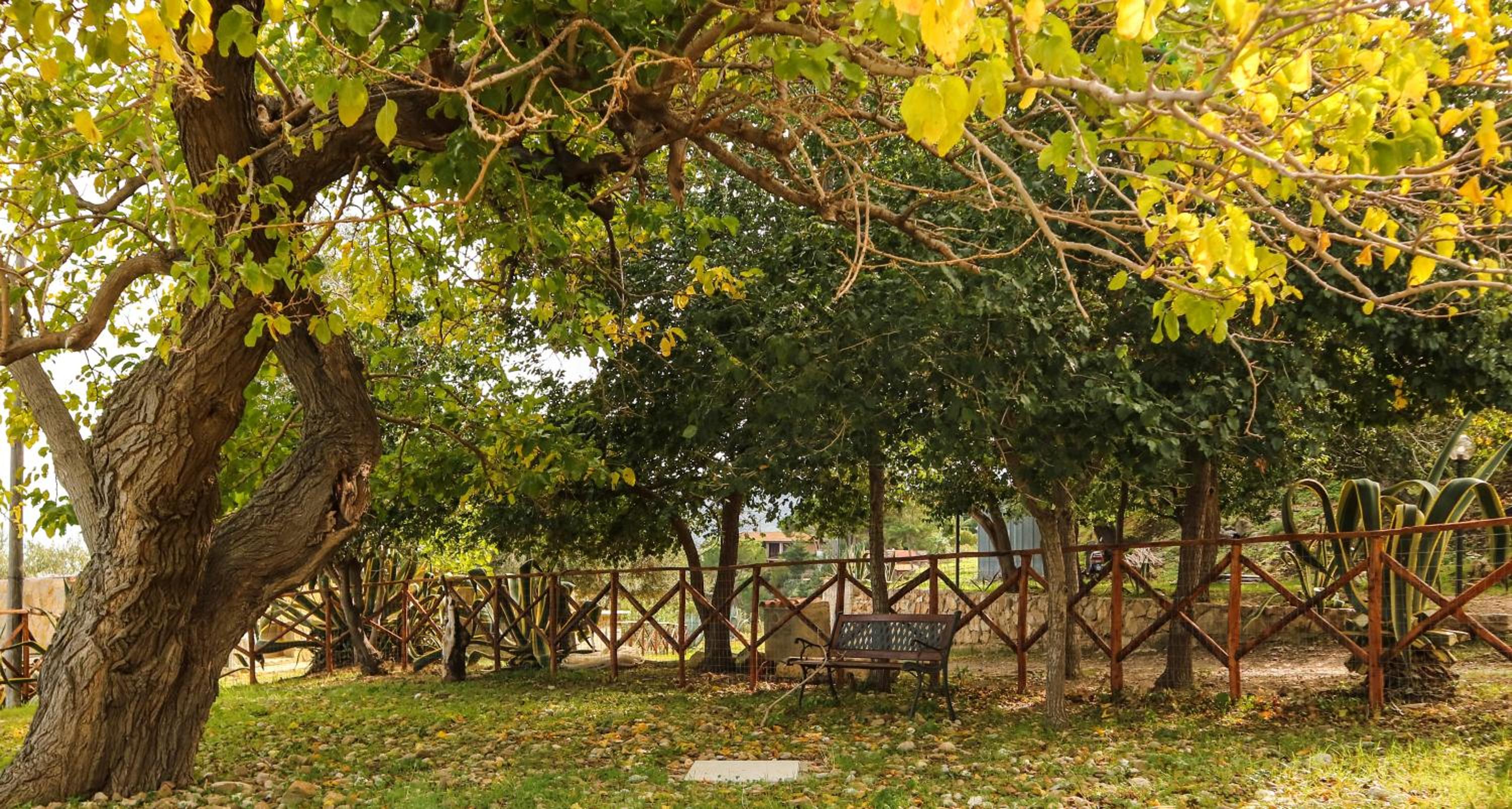 Villa Magarà