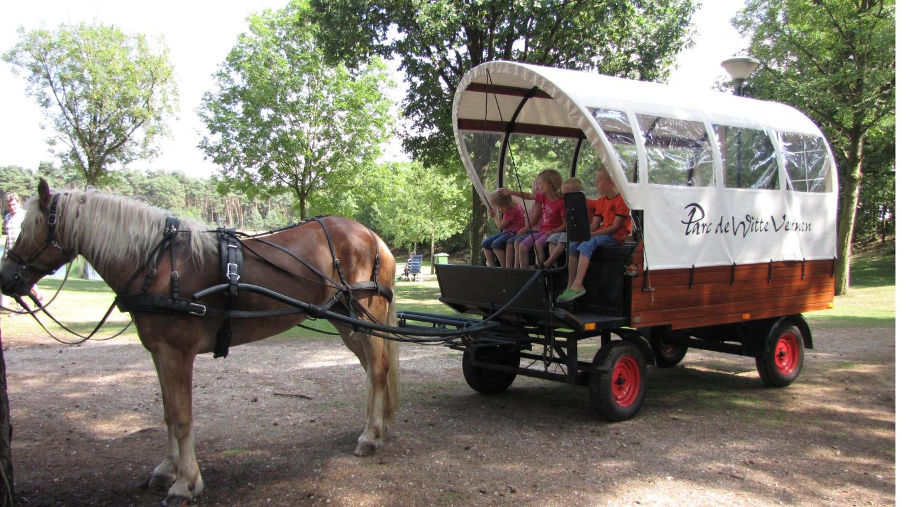 Glamping Limburg