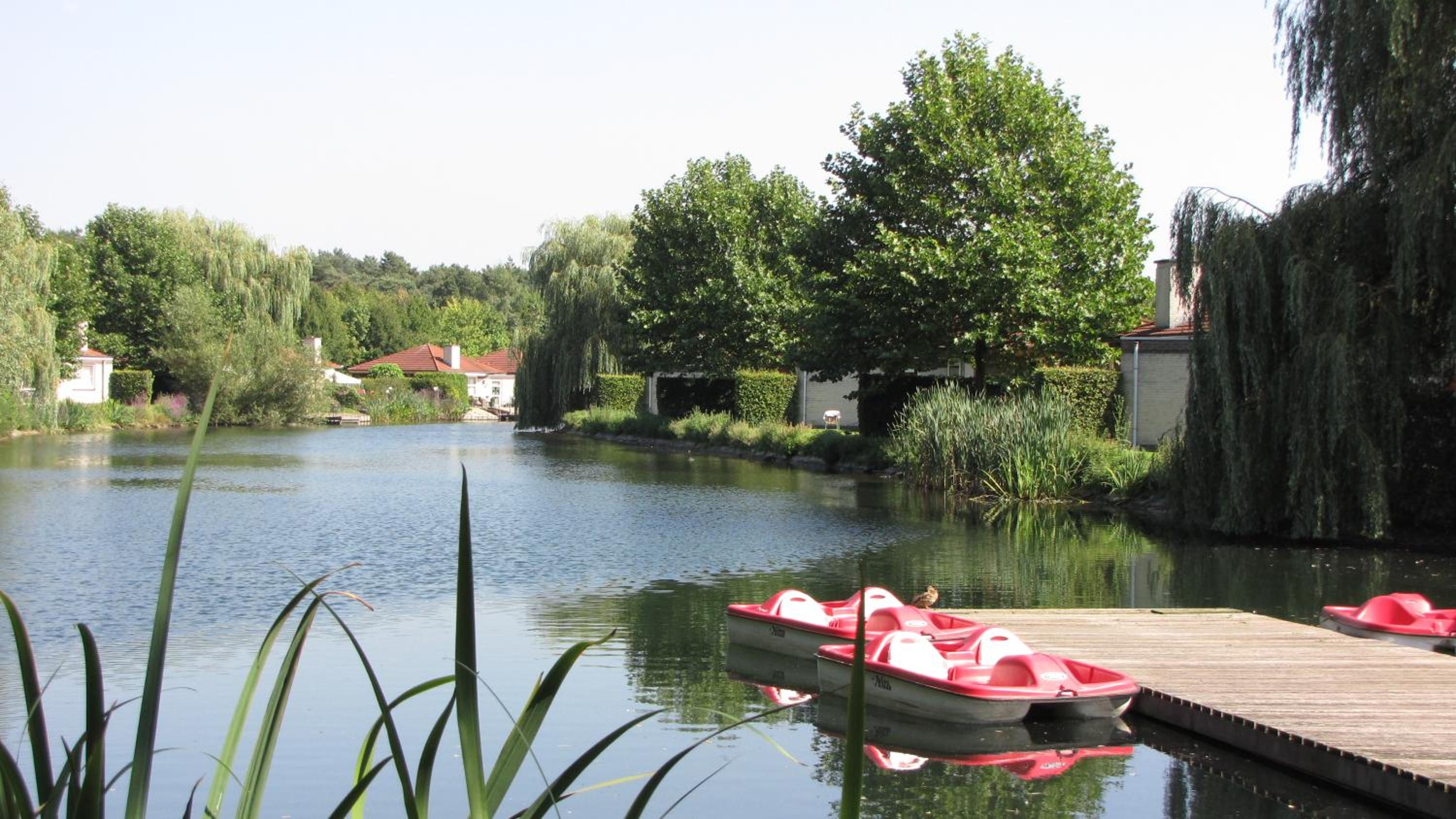 Glamping Limburg