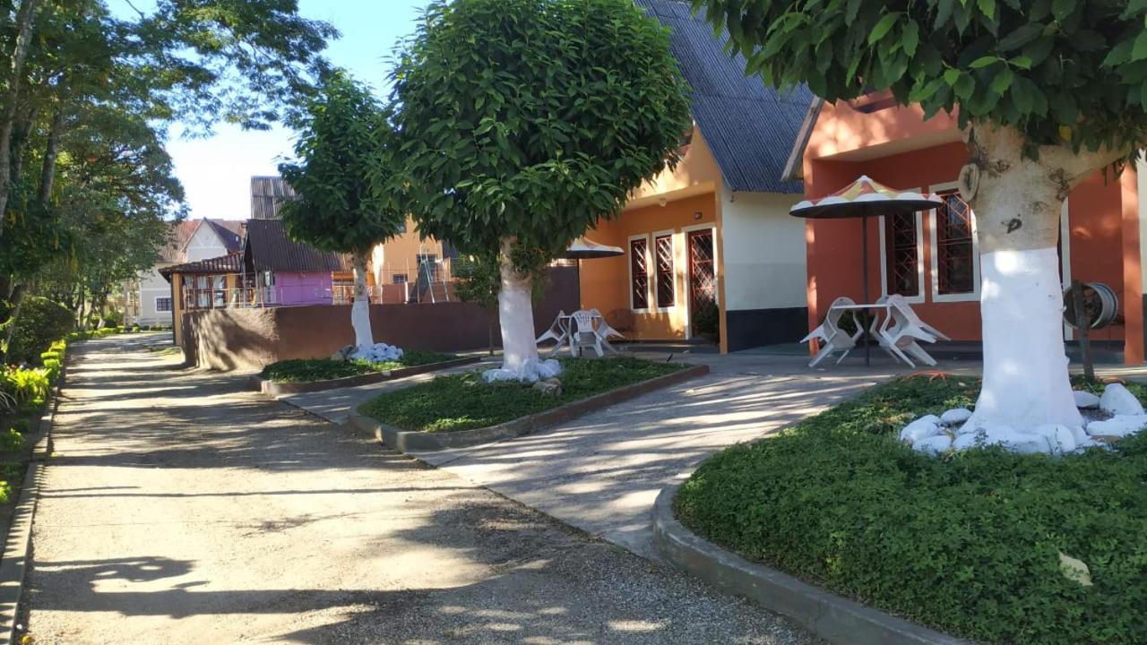 Photo 21
