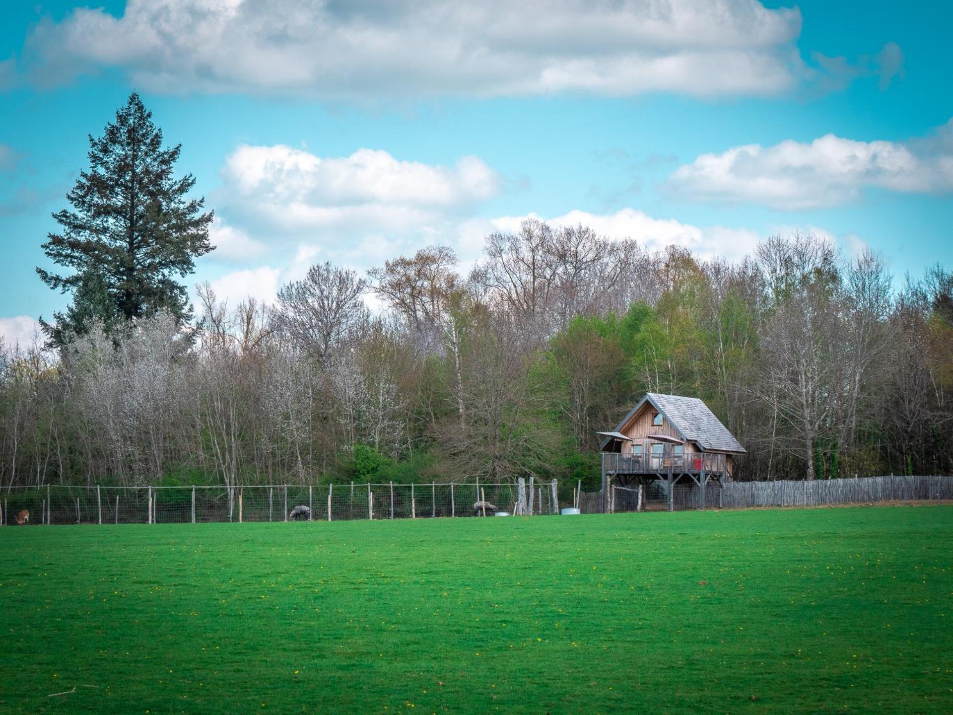 Les Lodges Du Reynou