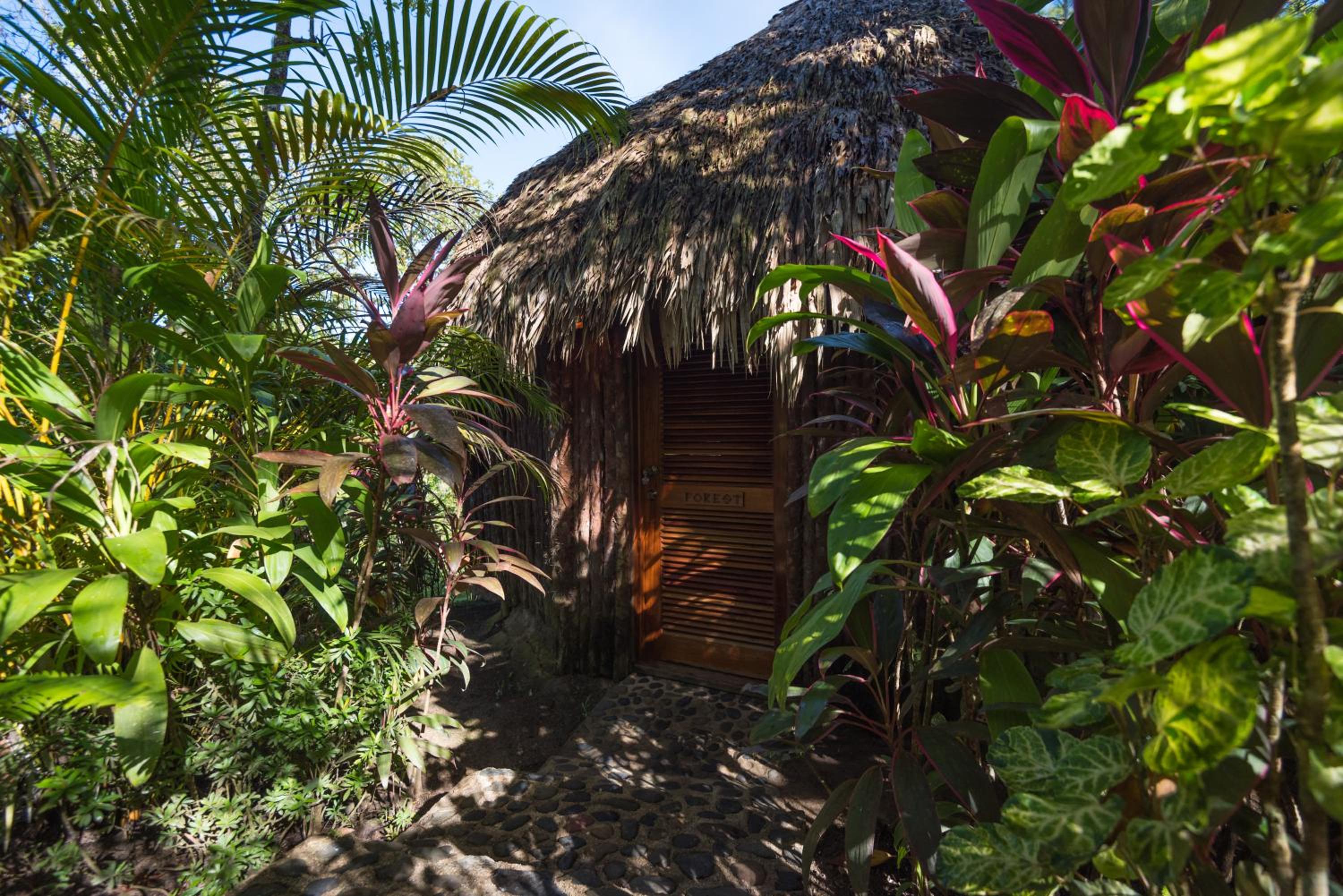 Belize Vacations - Gaia Riverlodge - Property Image 21
