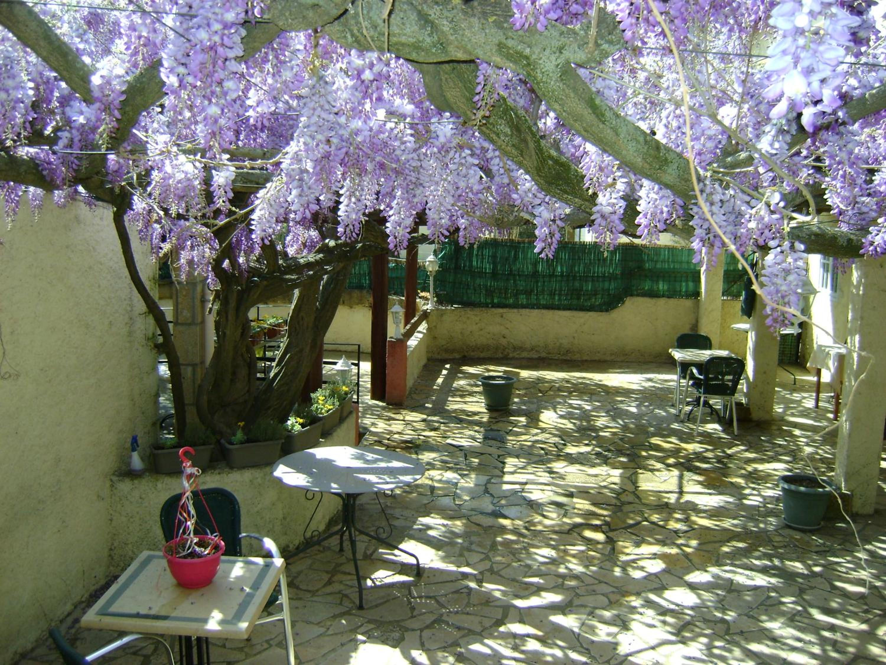 outdoor BBQ area