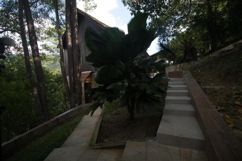 Deserenity Exclusive Jungle Resort Seremban view 3