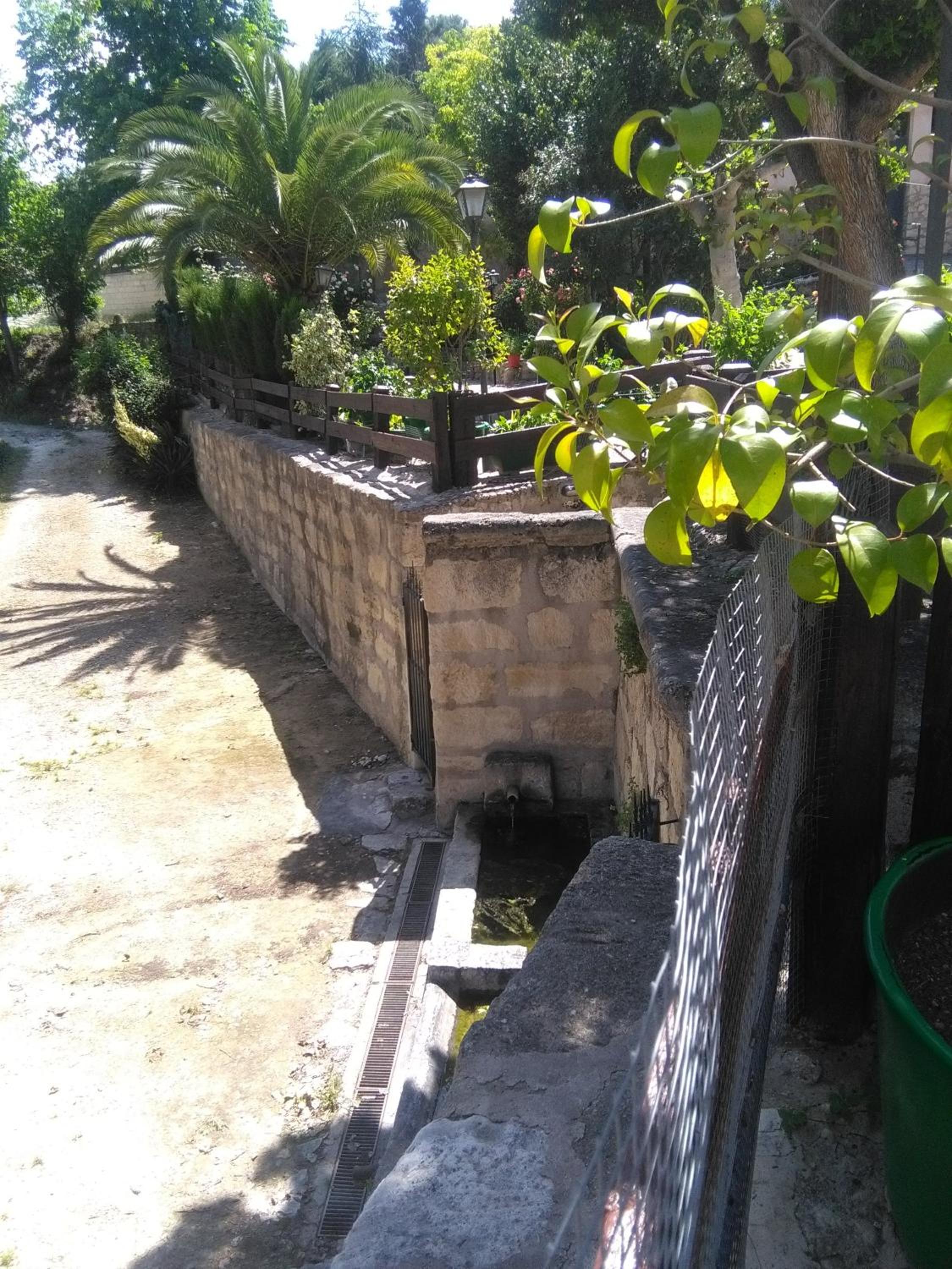 Photo 37