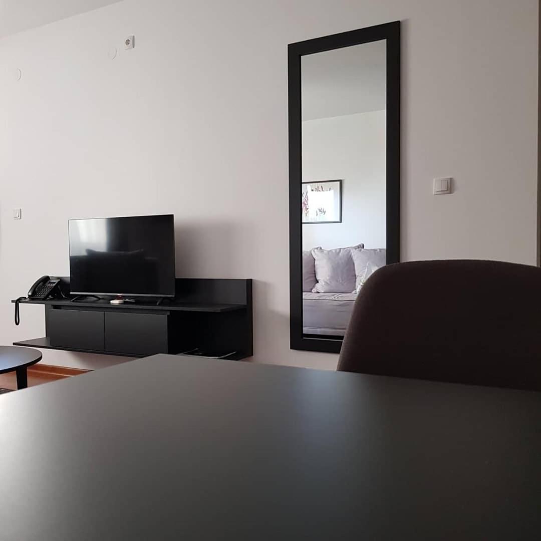 Apartman Ibarstar view 5