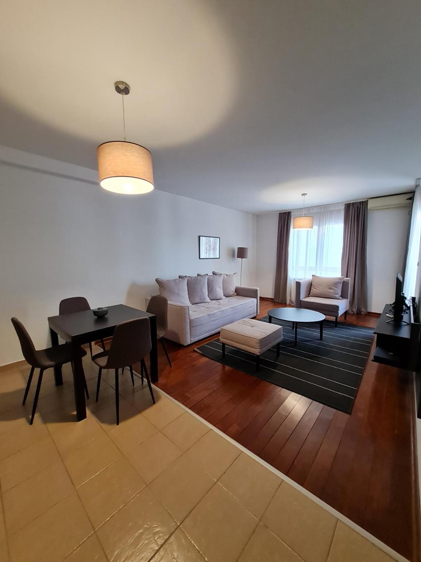 Apartman Ibarstar view 3