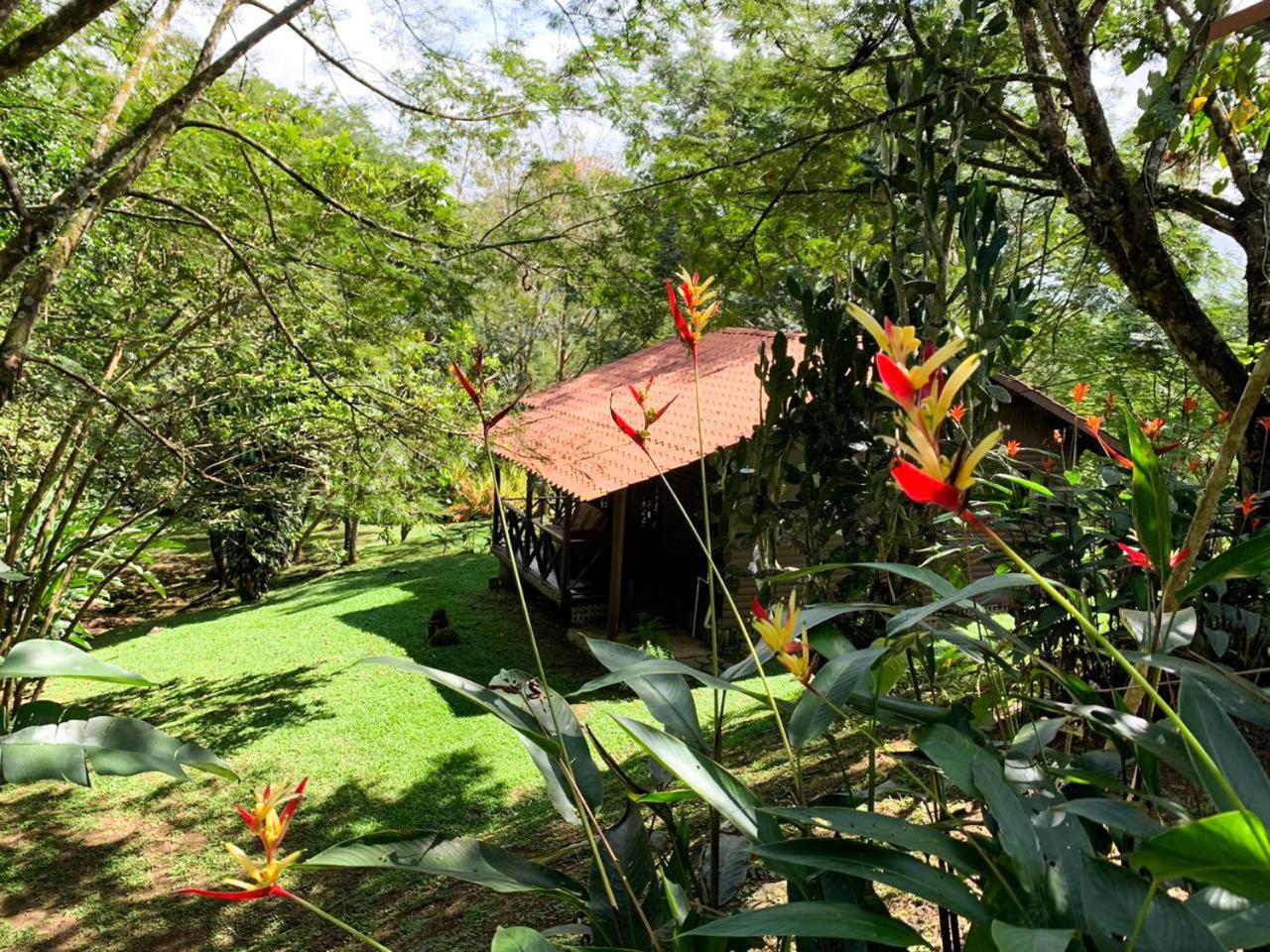 Hospedaje La Naciente