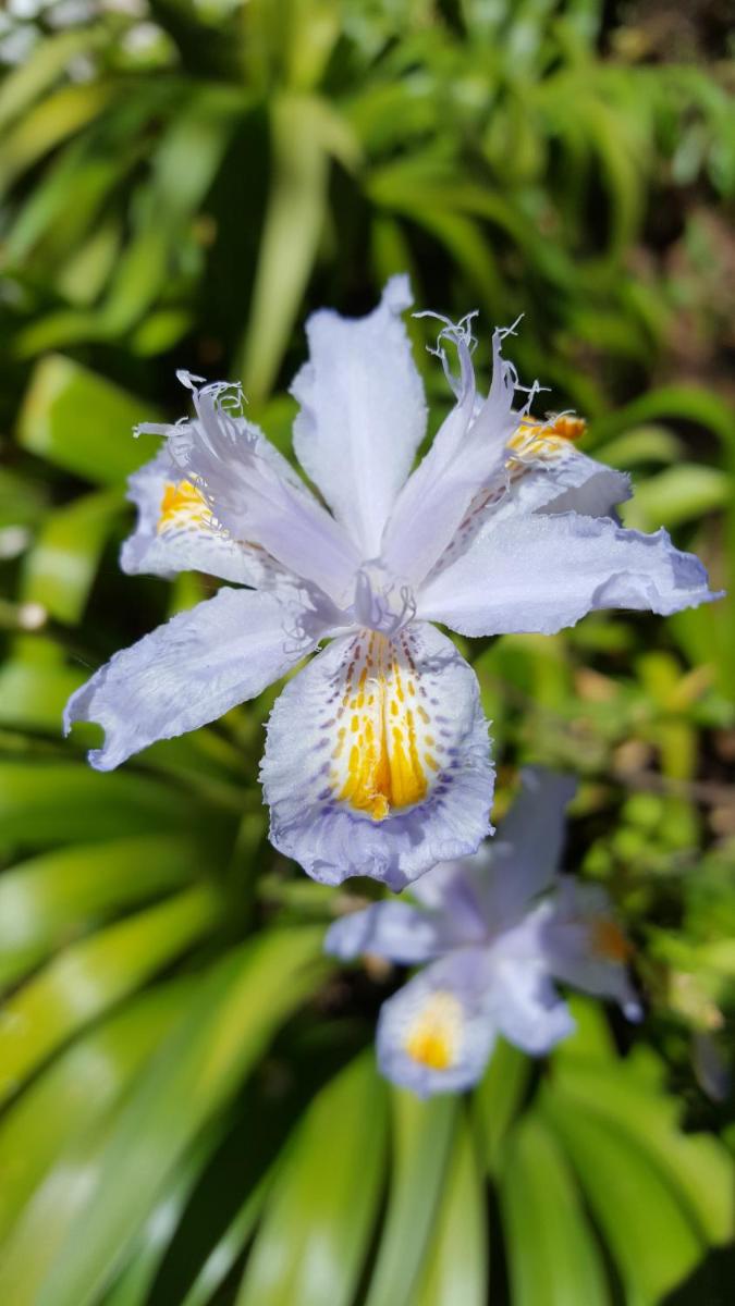 Photo 40