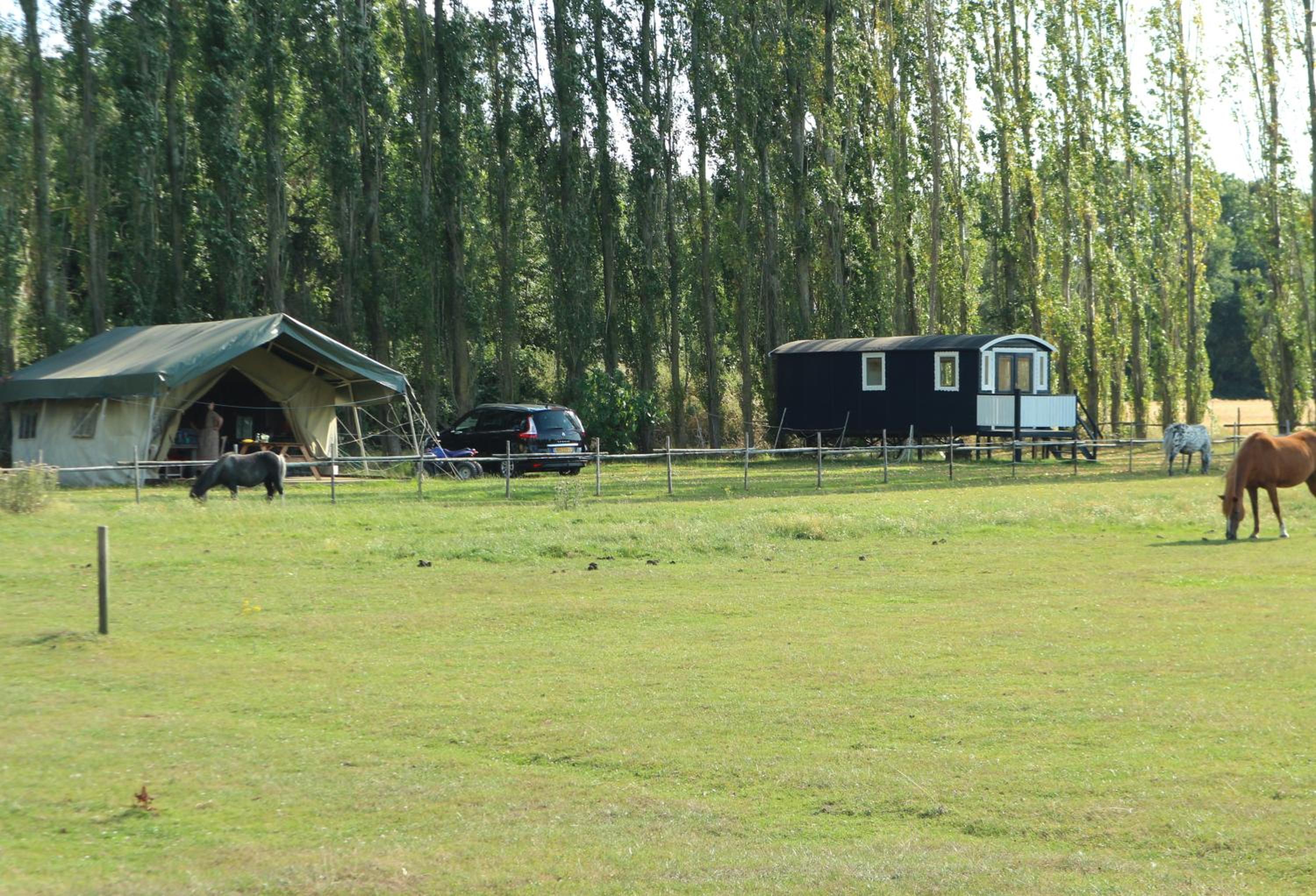 Pipowagen Jasmijn bij Pipowagen en kampeerhoeve s Gravenhof - Property Image 11