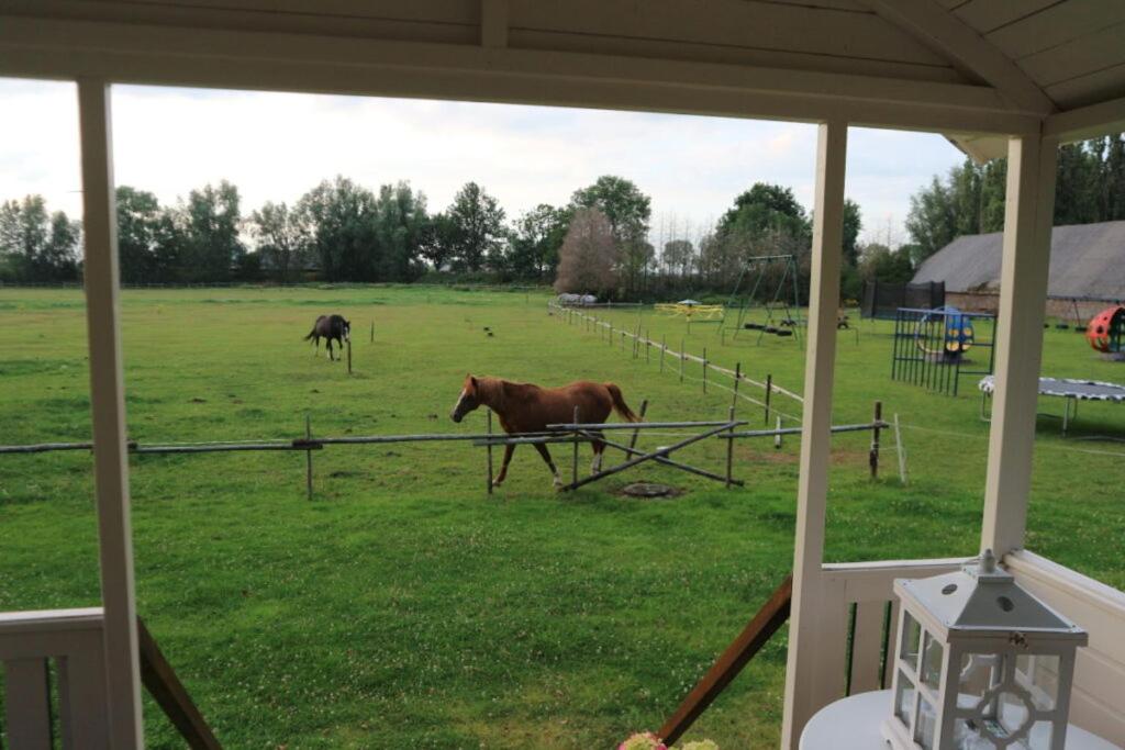 Pipowagen Jasmijn bij Pipowagen en kampeerhoeve s Gravenhof - Property Image 2