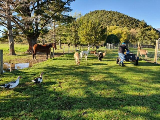Oasis Motel & Holiday Park Turangi