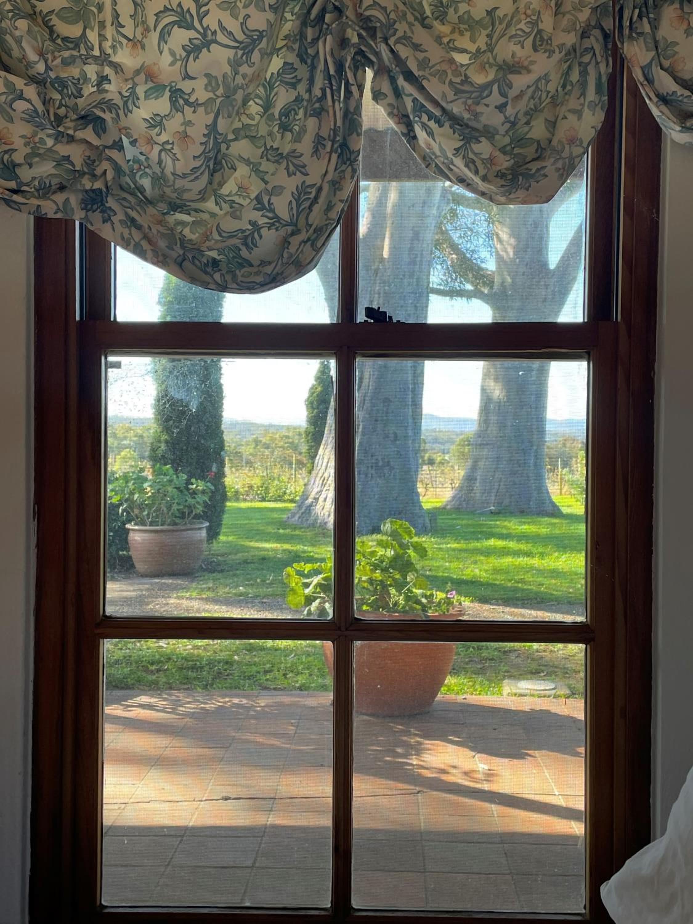 Blueberry Hill Vineyard Stay