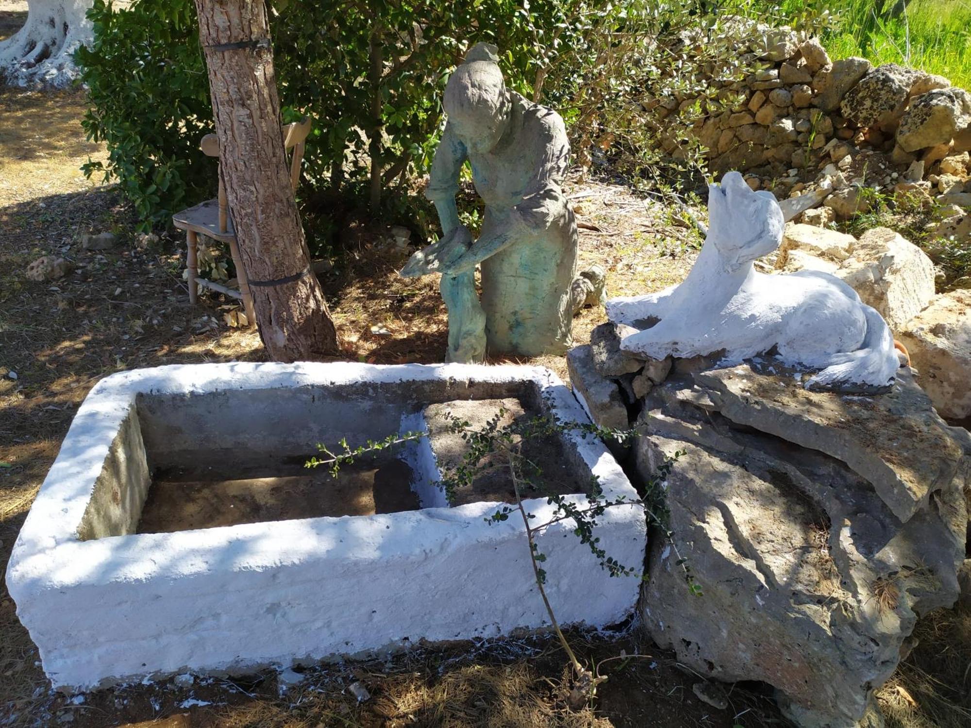 Photo 8